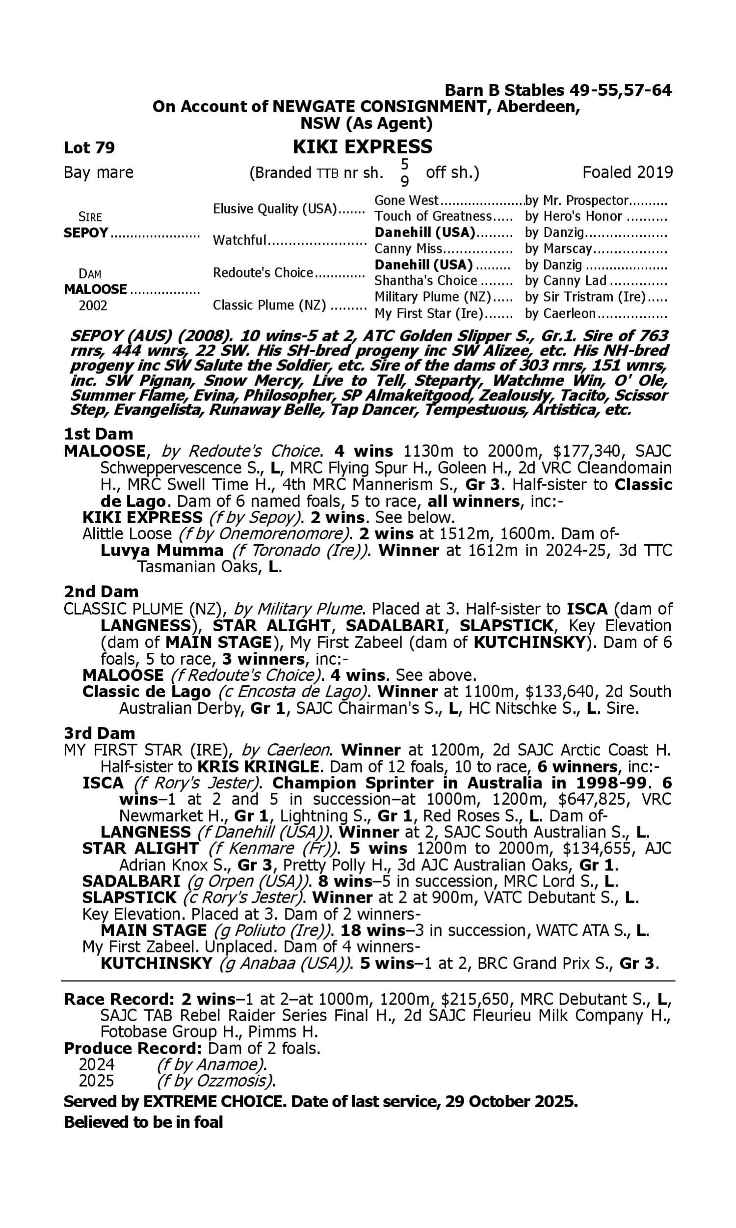 Pedigree for Lot 79 Sepoy - Maloose