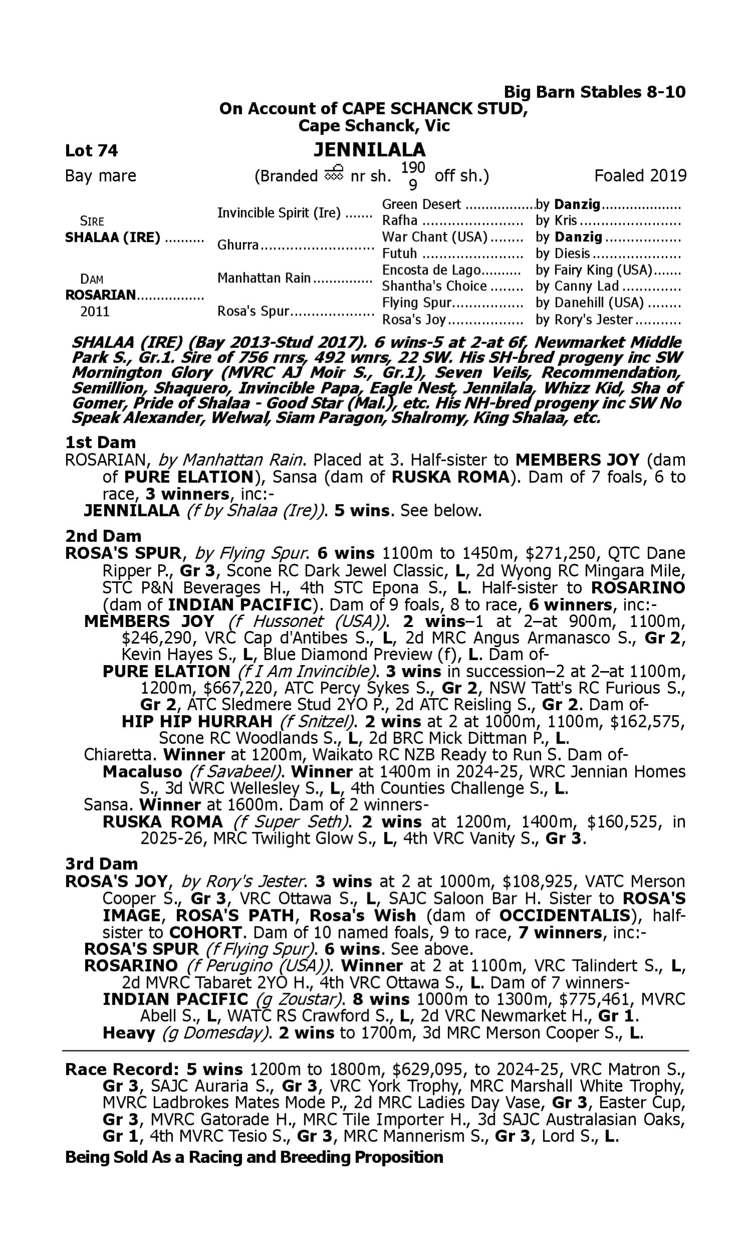 Pedigree for Lot 74 Shalaa (IRE) - Rosarian