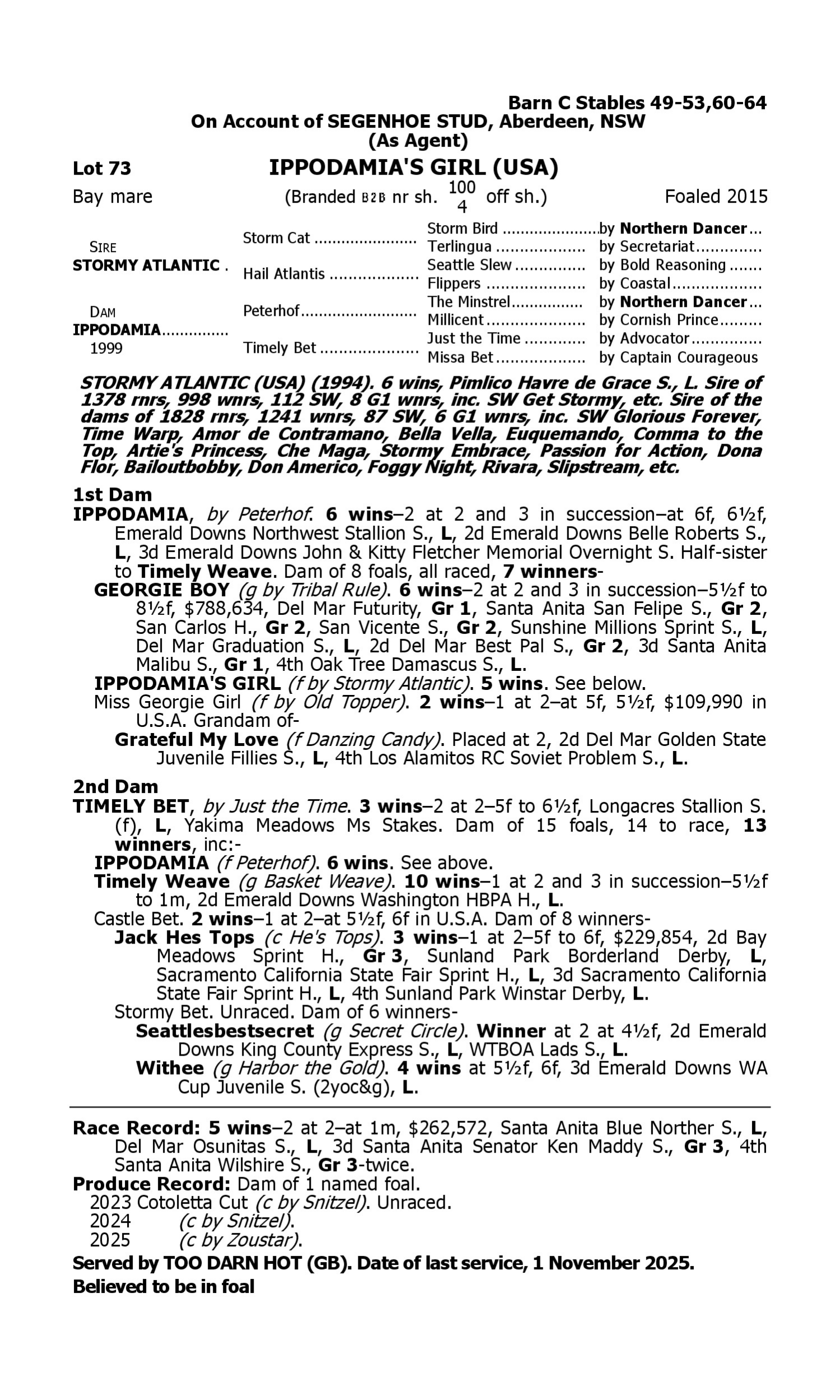 Pedigree for Lot 73 Stormy Atlantic (USA) - Ippodamia (USA)