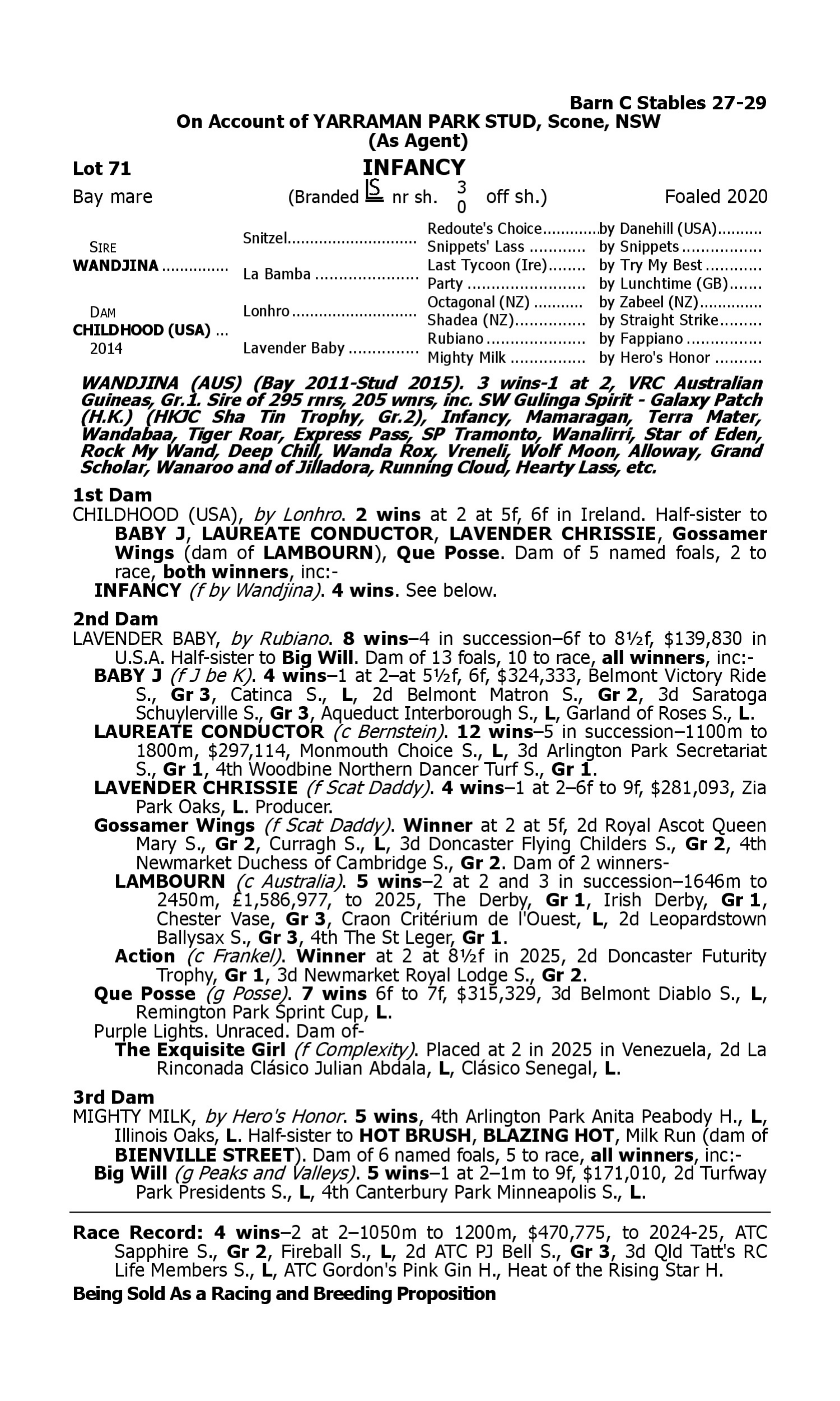 Pedigree for Lot 71 Wandjina - Childhood (USA)