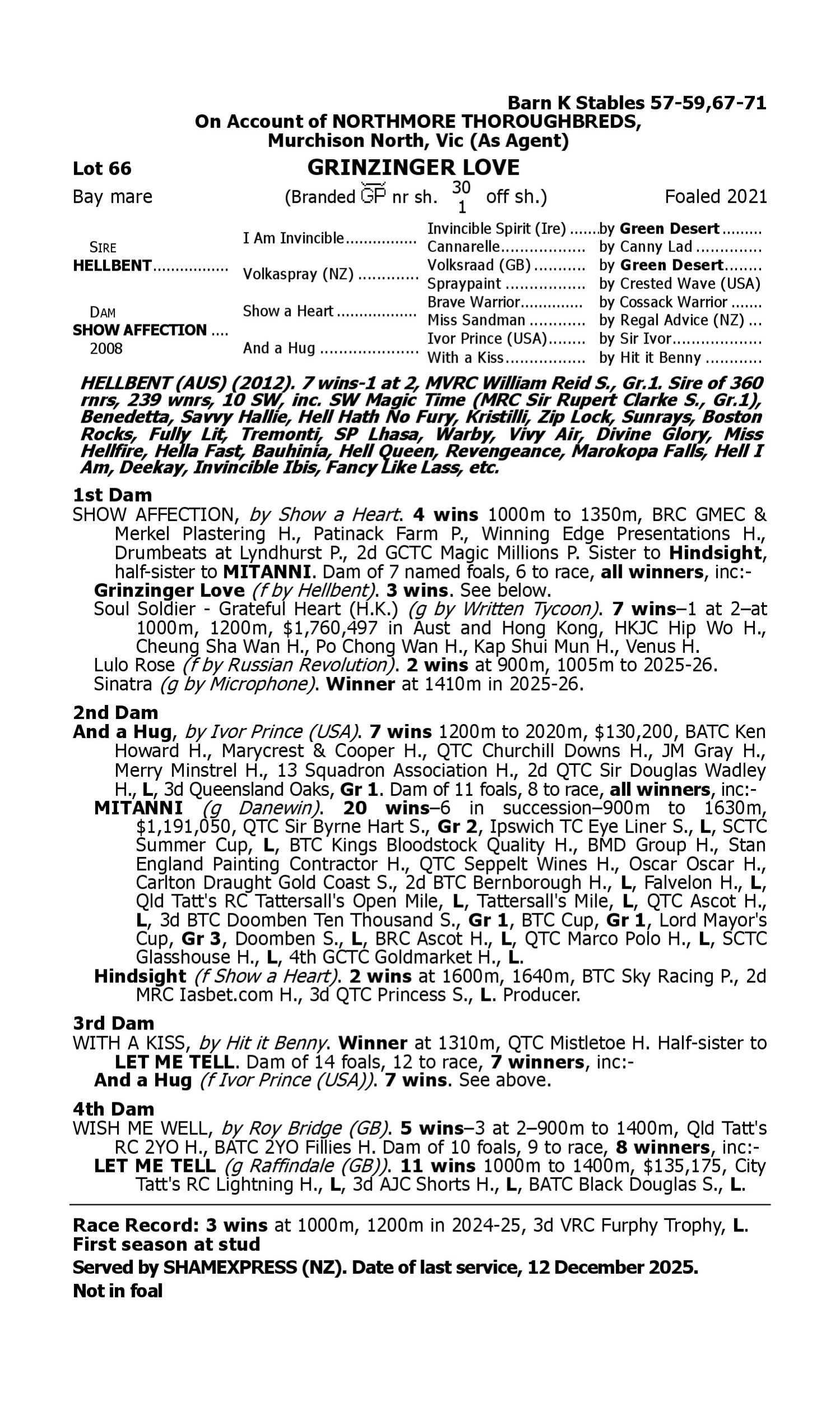 Pedigree for Lot 66 Hellbent - Show Affection