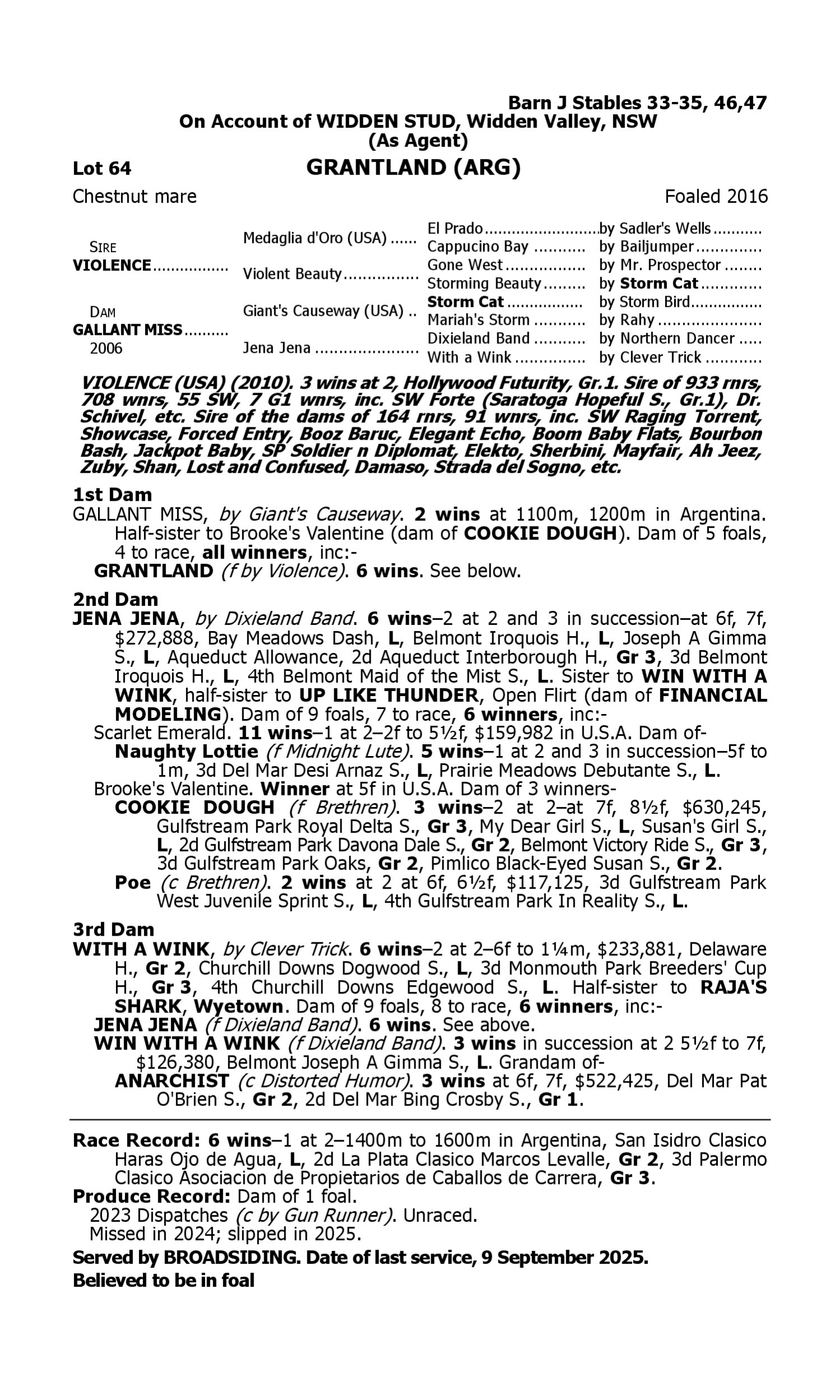 Pedigree for Lot 64 Violence (USA) - Gallant Miss (USA)