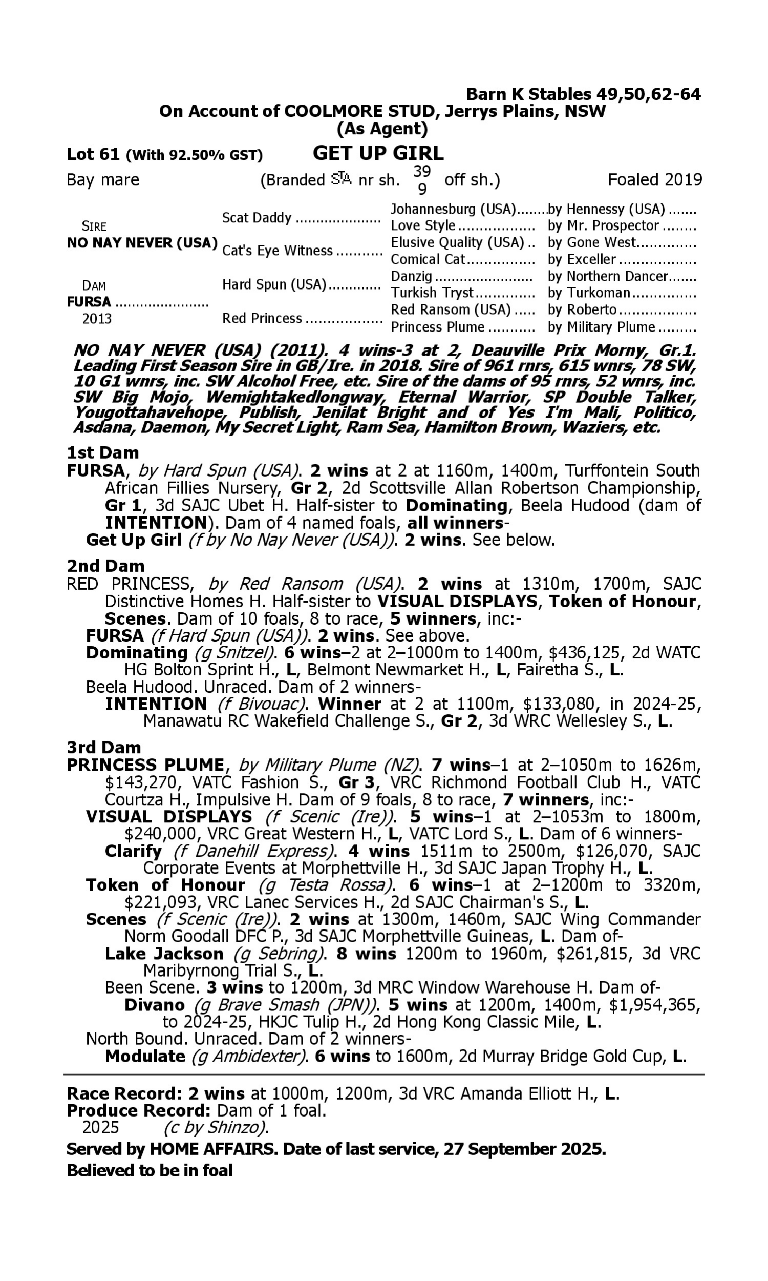 Pedigree for Lot 61 No Nay Never (USA) - Fursa