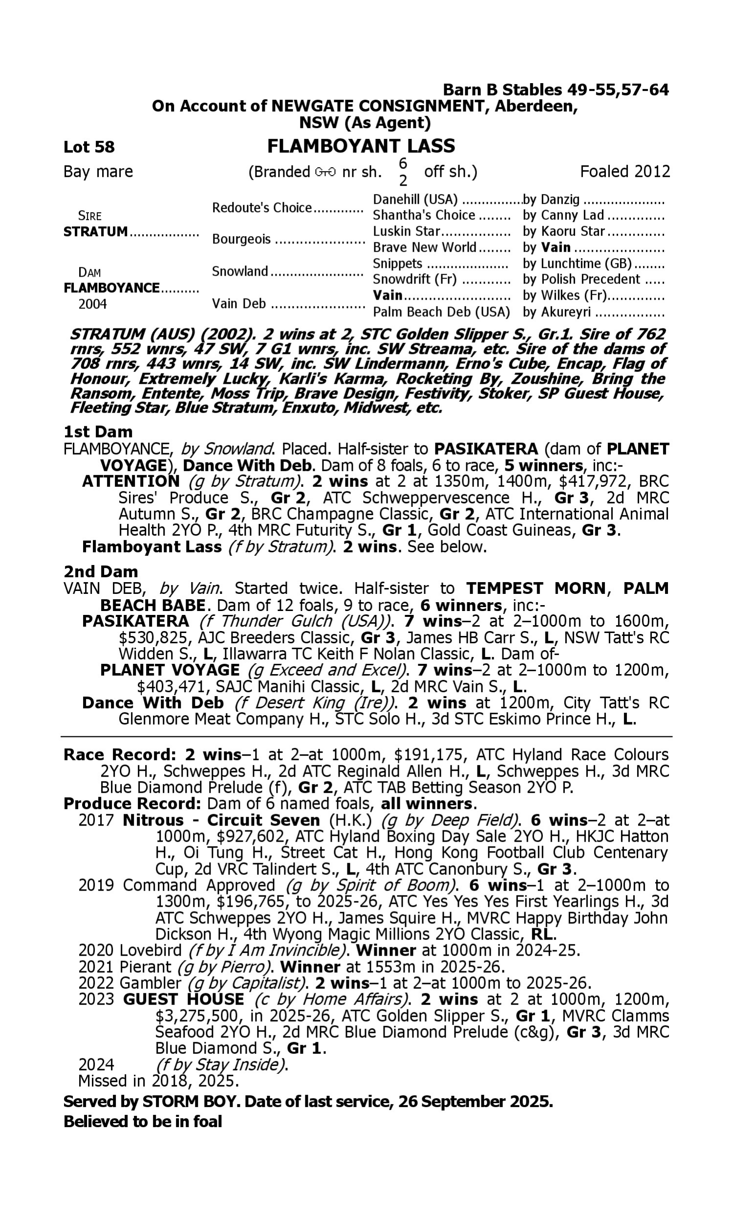 Pedigree for Lot 58 Stratum - Flamboyance