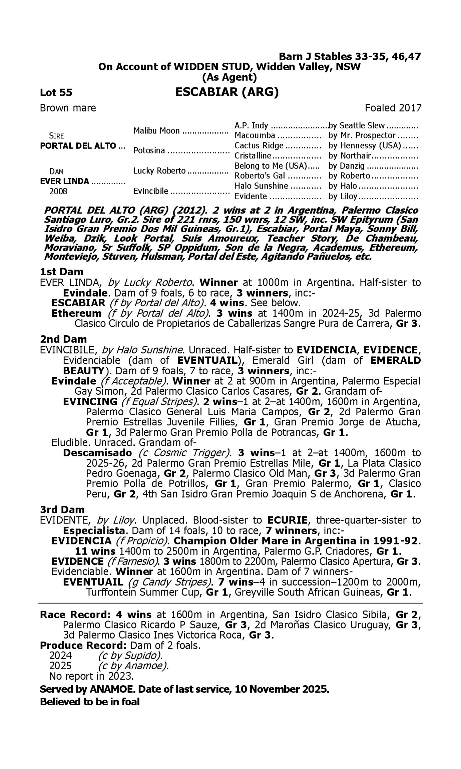 Pedigree for Lot 55 Portal del Alto (ARG) - Ever Linda (ARG)