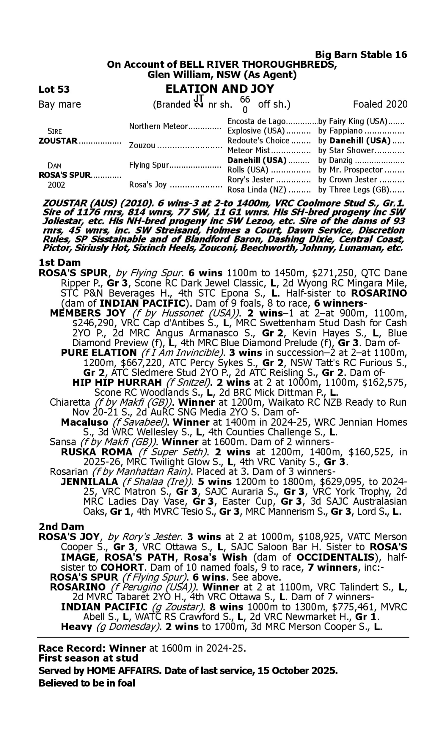 Pedigree for Lot 53 Zoustar - Rosa's Spur