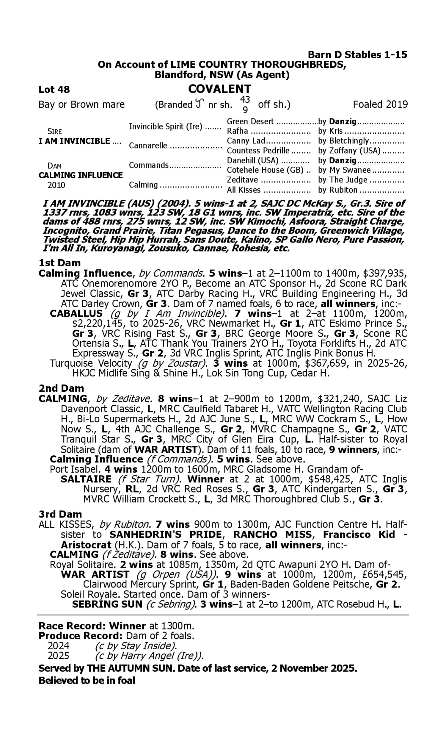 Pedigree for Lot 48 I Am Invincible - Calming Influence