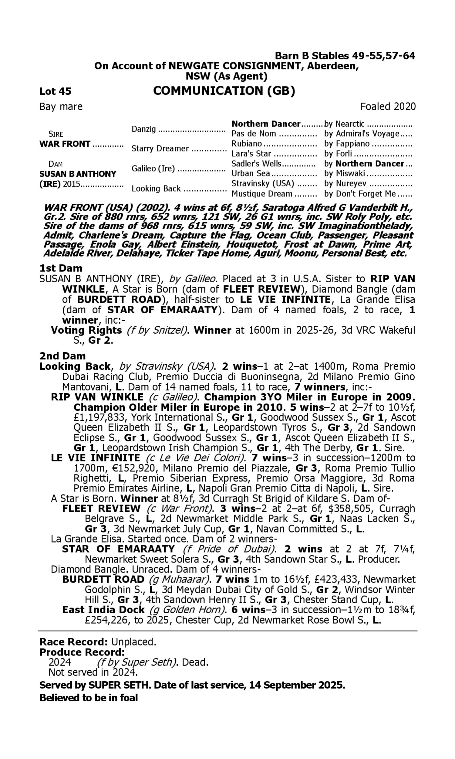 Pedigree for Lot 45 War Front (USA) - Susan B Anthony (IRE)