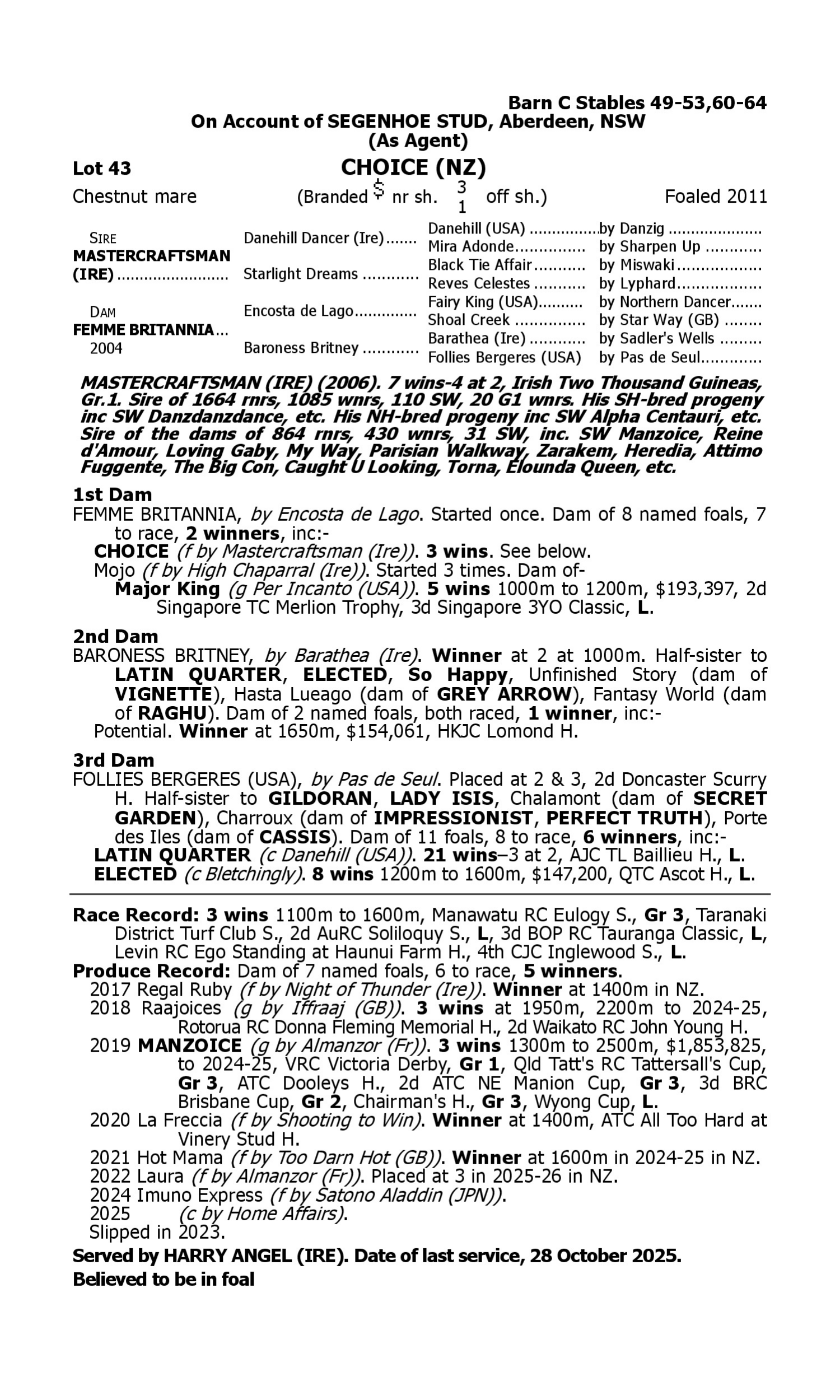 Pedigree for Lot 43 Mastercraftsman (IRE) - Femme Britannia