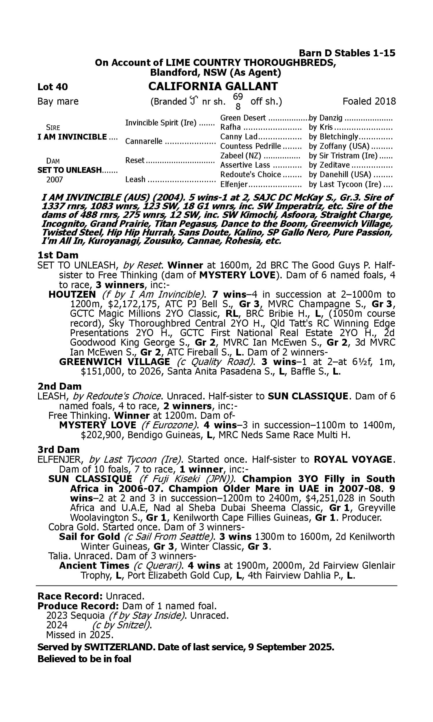 Pedigree for Lot 40 I Am Invincible - Set to Unleash