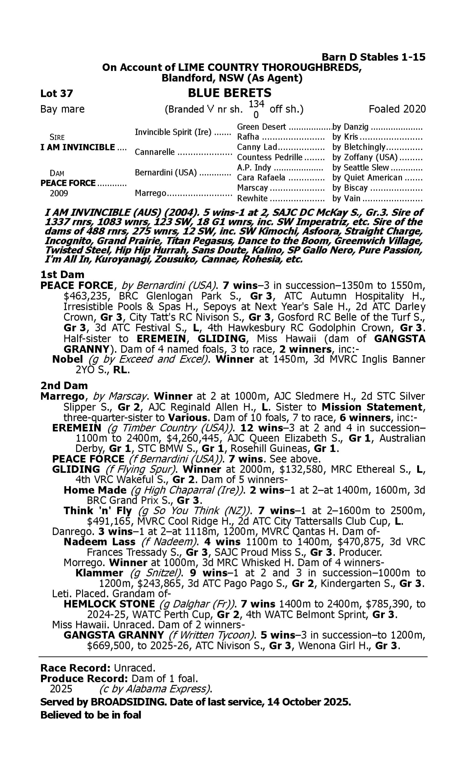 Pedigree for Lot 37 I Am Invincible - Peace Force
