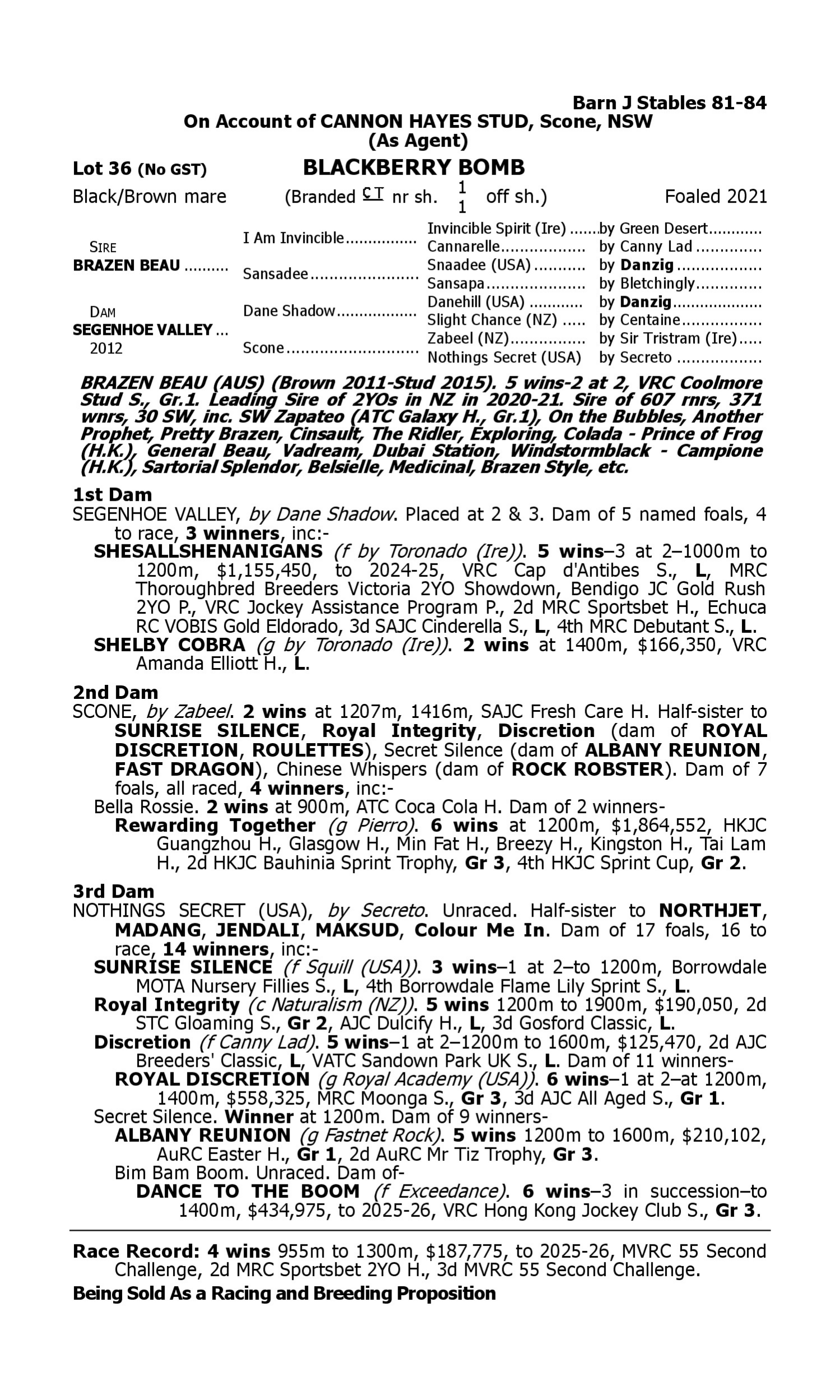 Pedigree for Lot 36 Brazen Beau - Segenhoe Valley