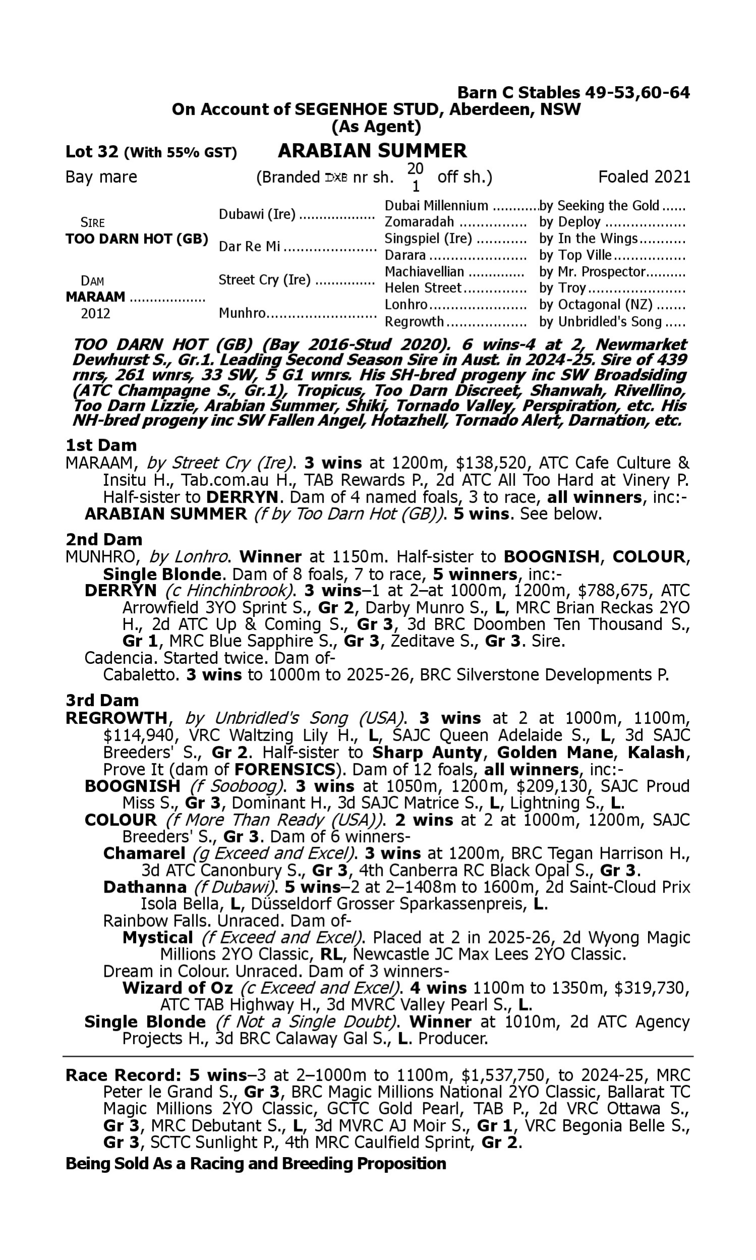 Pedigree for Lot 32 Too Darn Hot (GB) - Maraam