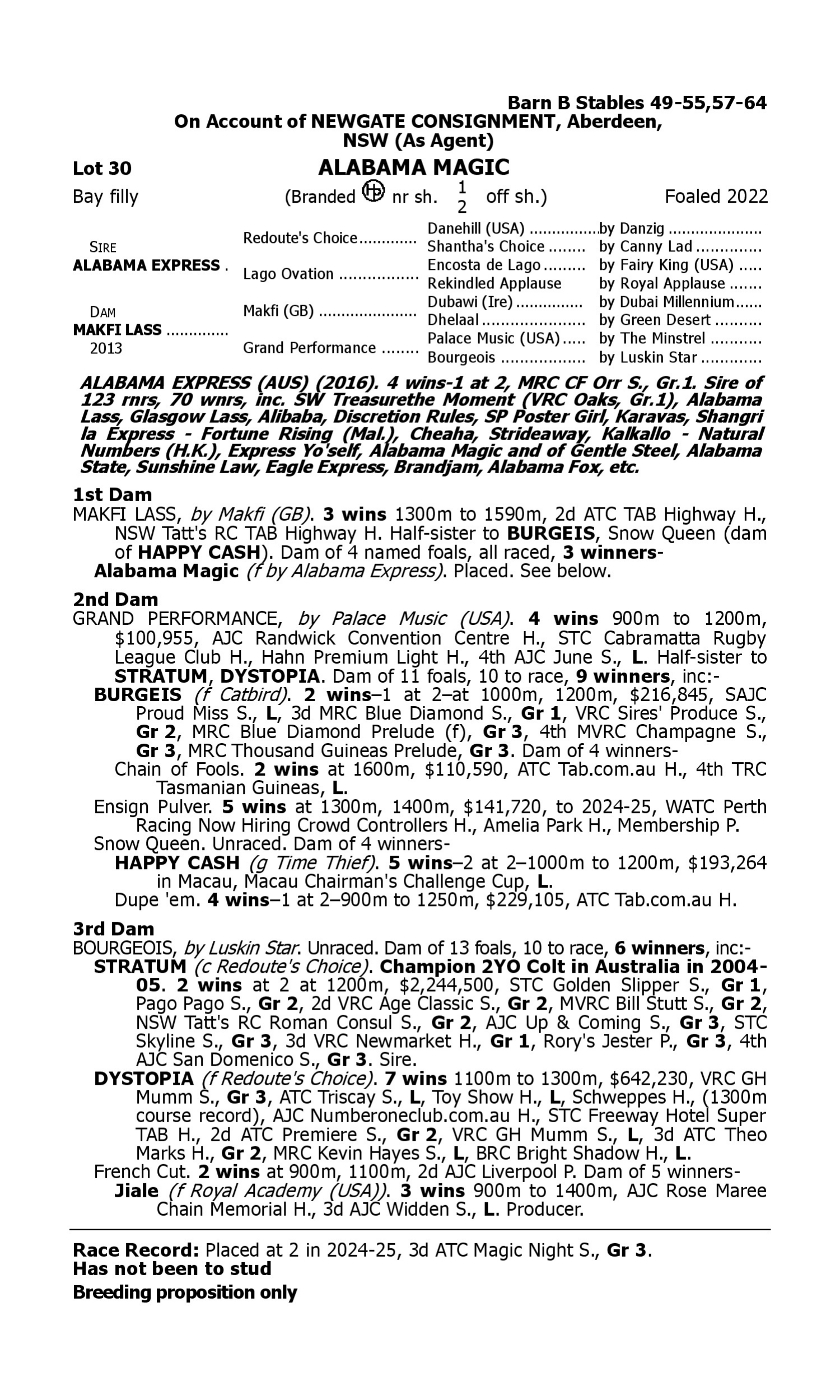 Pedigree for Lot 30 Alabama Express - Makfi Lass