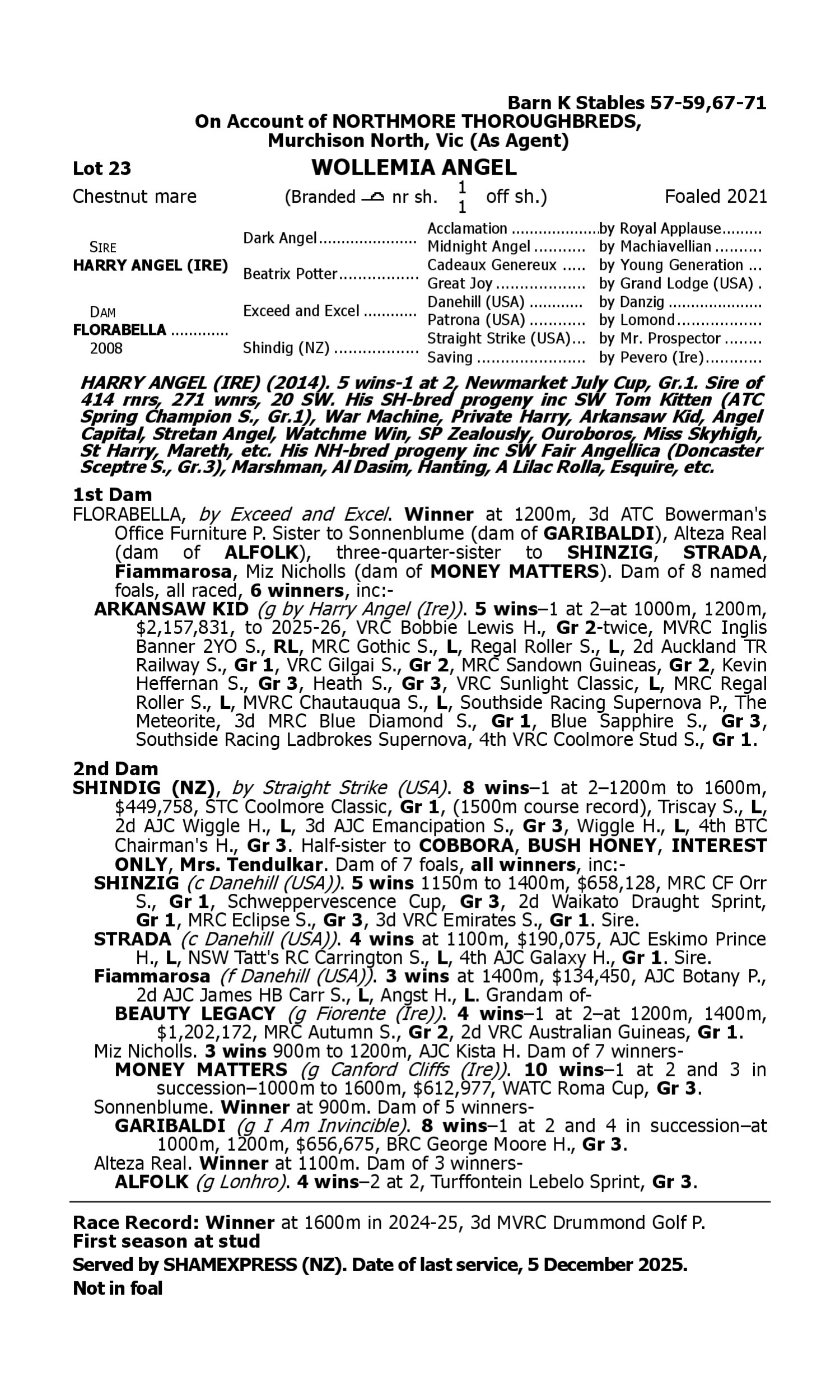 Pedigree for Lot 23 Harry Angel (IRE) - Florabella