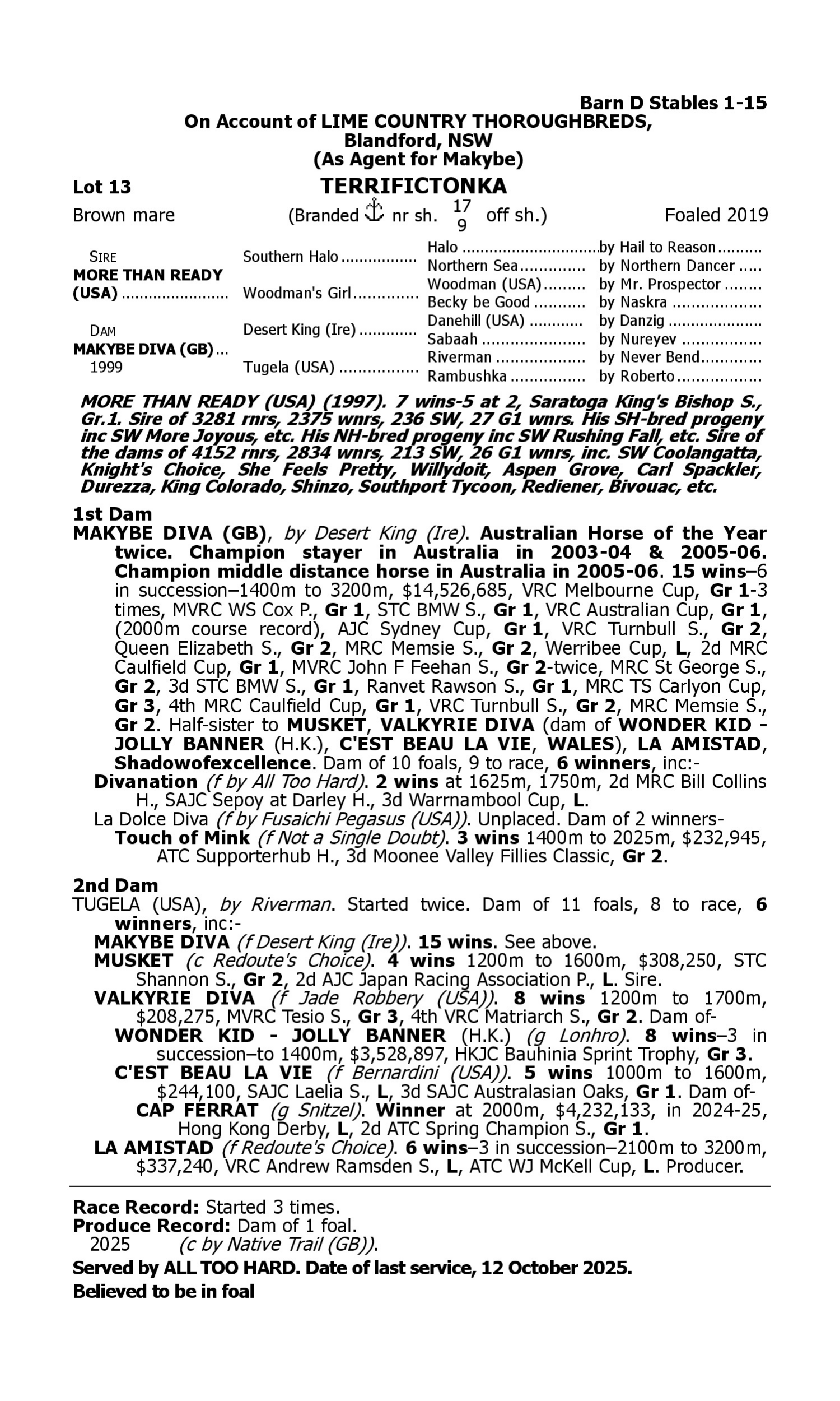 Pedigree for Lot 13 More Than Ready (USA) - Makybe Diva (GB)