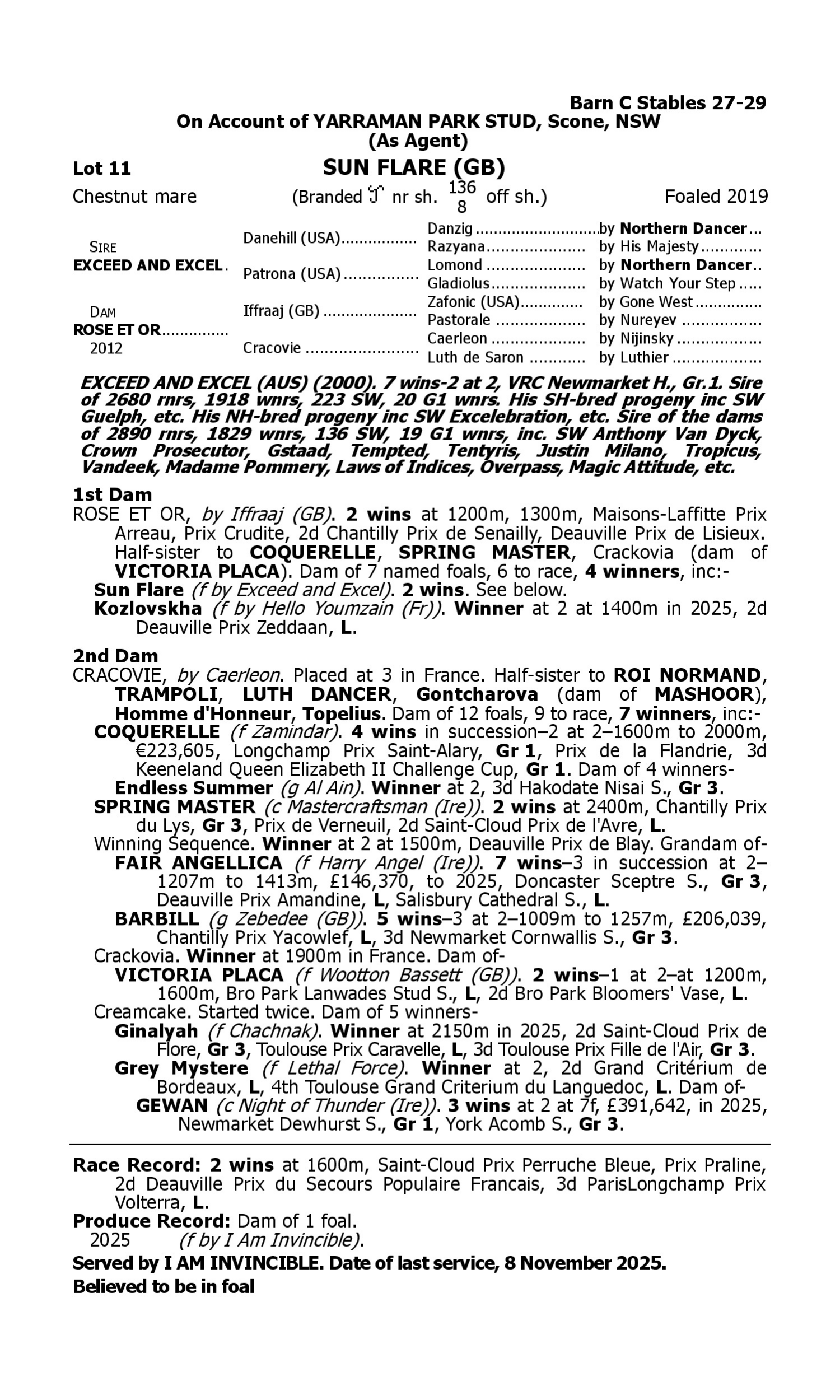 Pedigree for Lot 11 Exceed and Excel - Rose et Or (IRE)