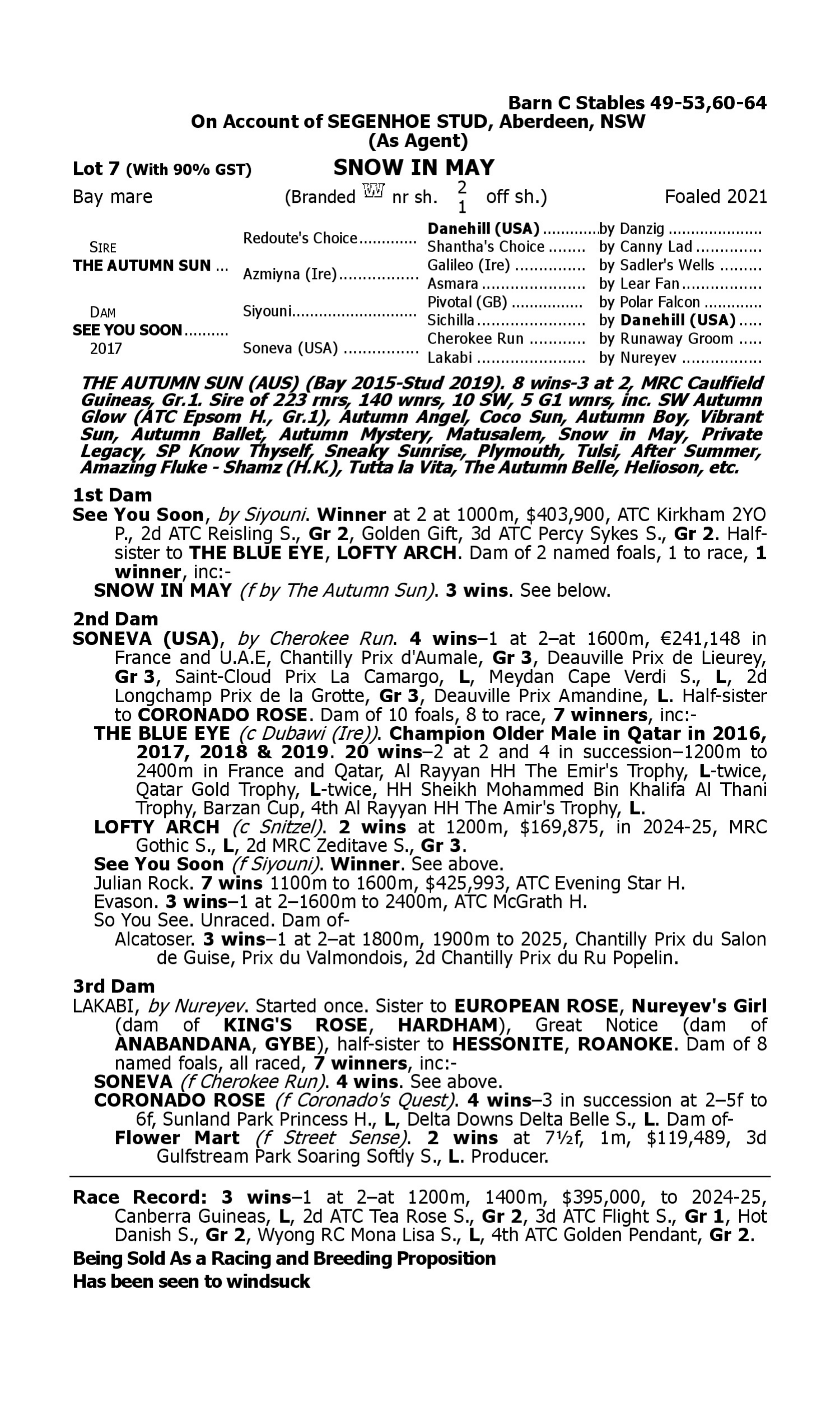 Pedigree for Lot 7 The Autumn Sun - See You Soon