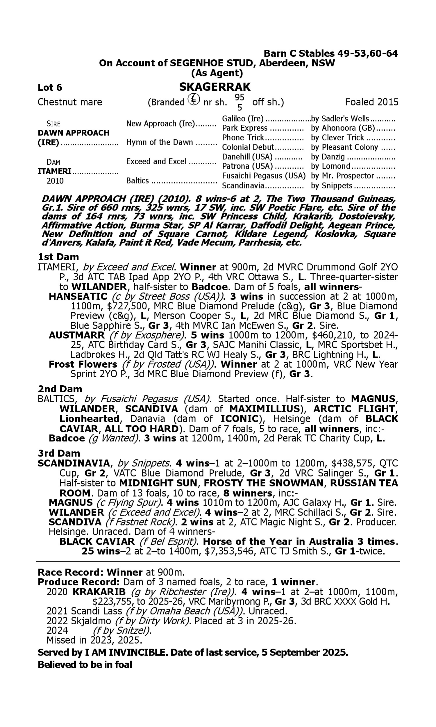 Pedigree for Lot 6 Dawn Approach (IRE) - Itameri