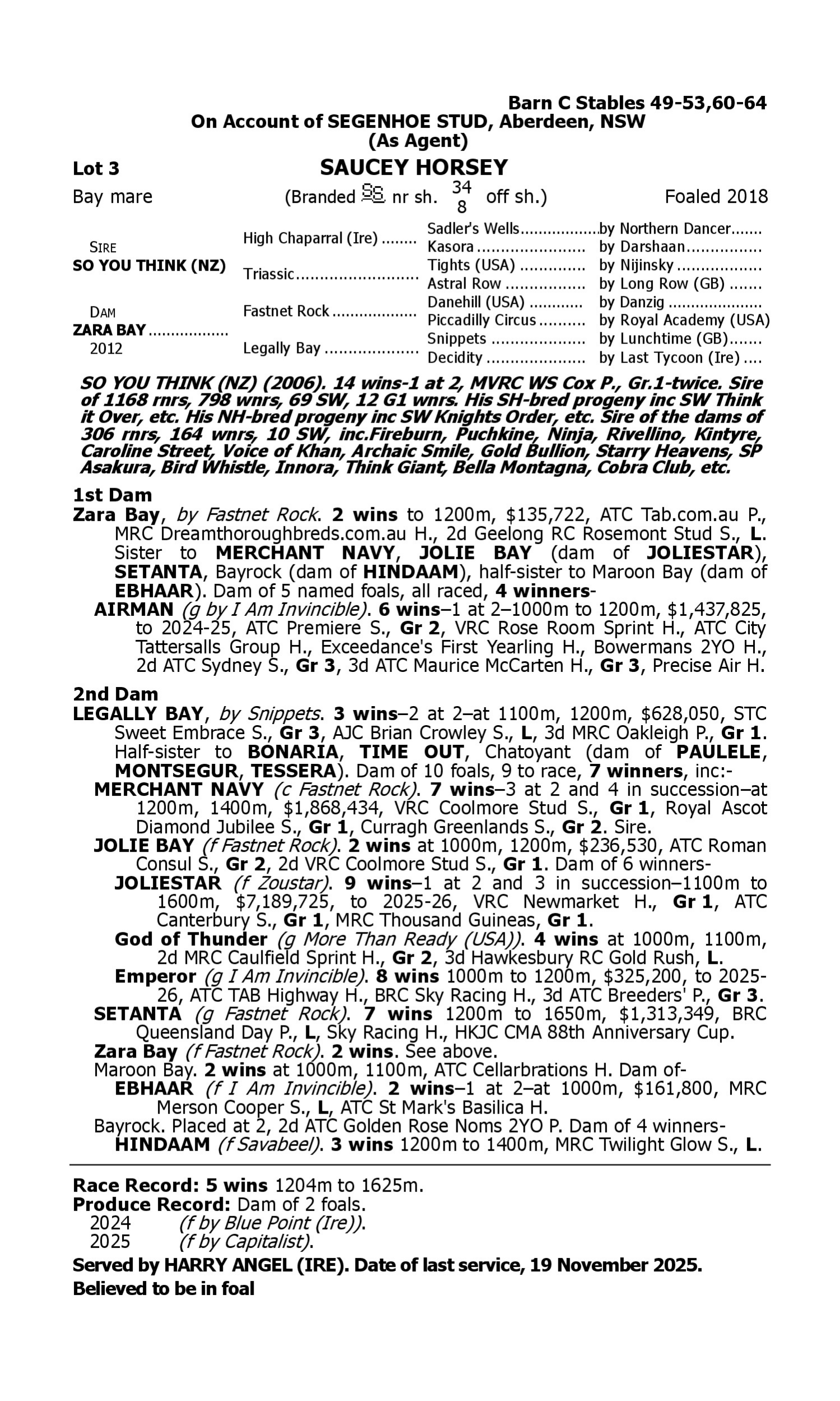 Pedigree for Lot 3 So You Think (NZ) - Zara Bay