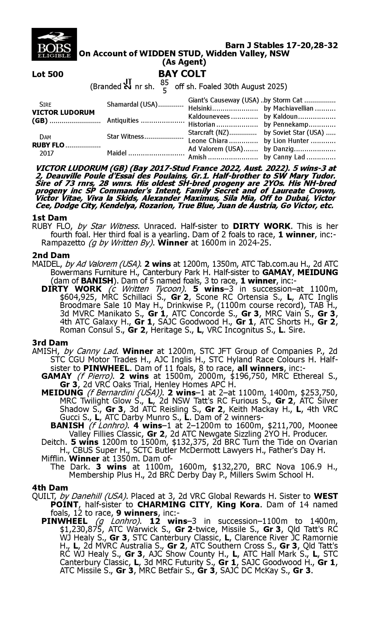 Pedigree for Lot 500 Victor Ludorum (GB) - Ruby Flo