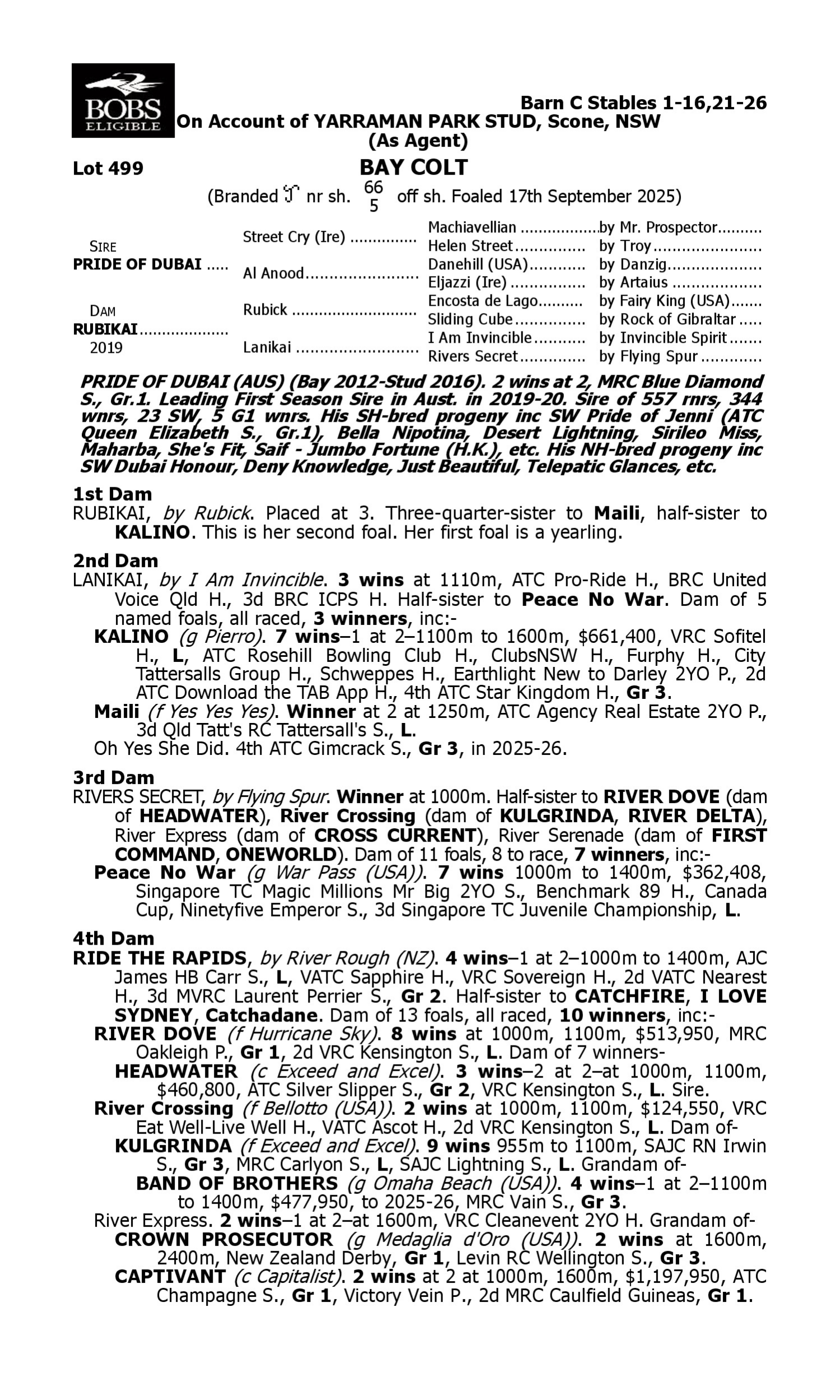 Pedigree for Lot 499 Pride of Dubai - Rubikai