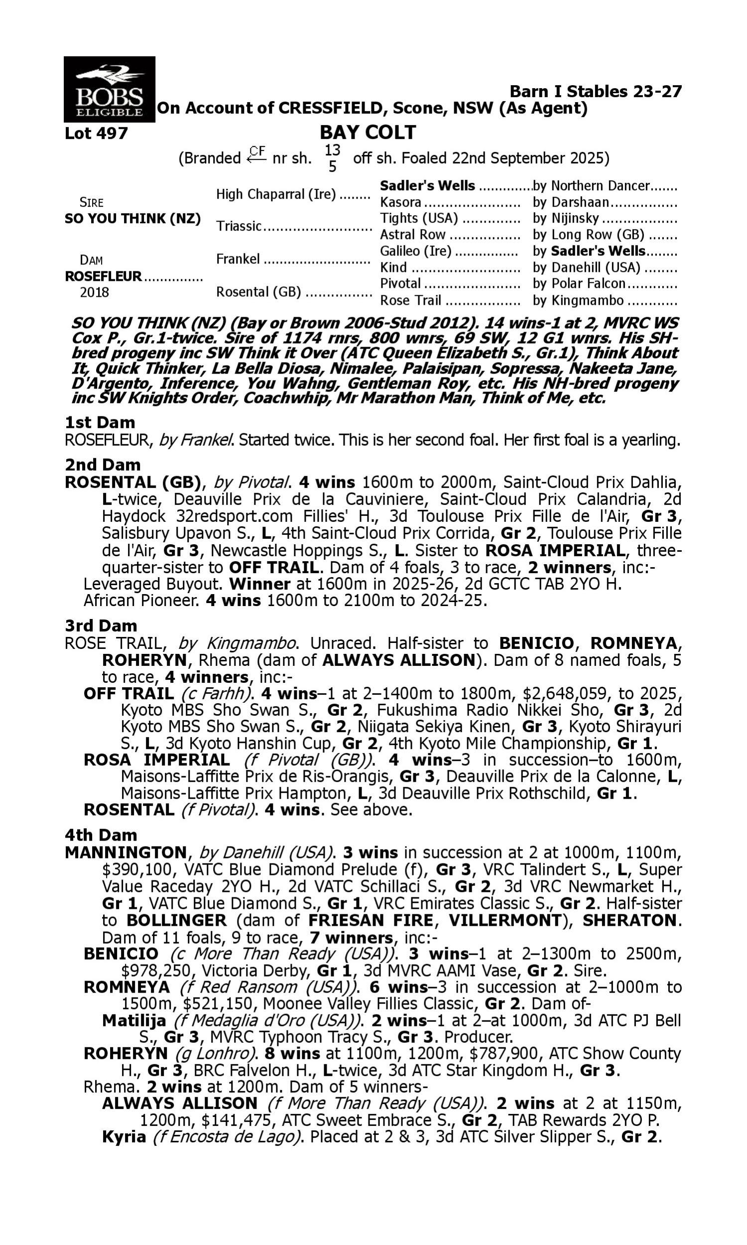 Pedigree for Lot 497 So You Think (NZ) - Rosefleur