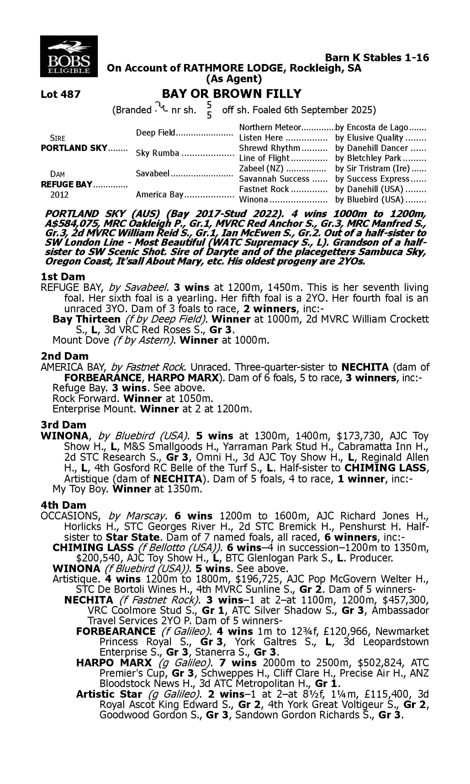 Pedigree for Lot 487 Portland Sky - Refuge Bay