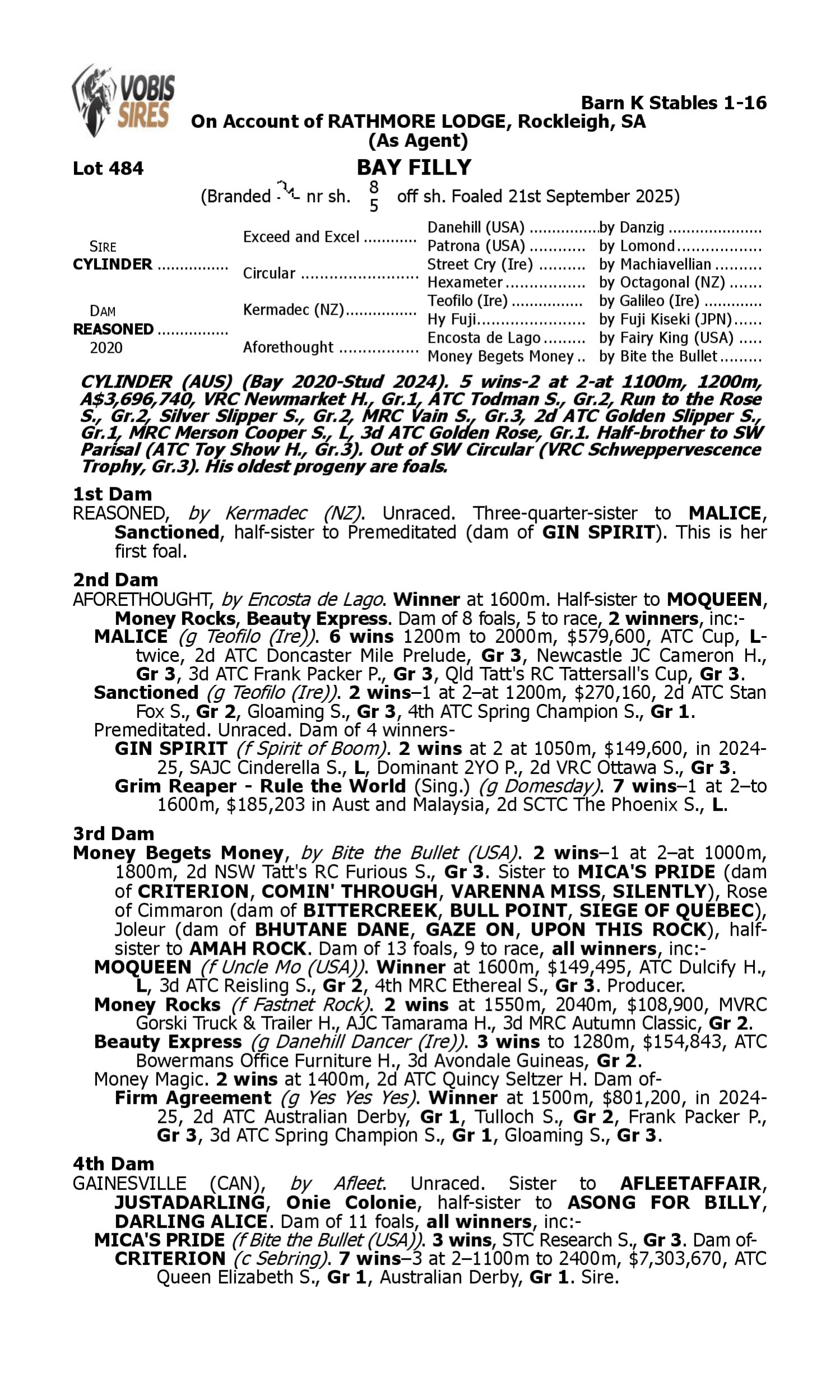 Pedigree for Lot 484 Cylinder - Reasoned