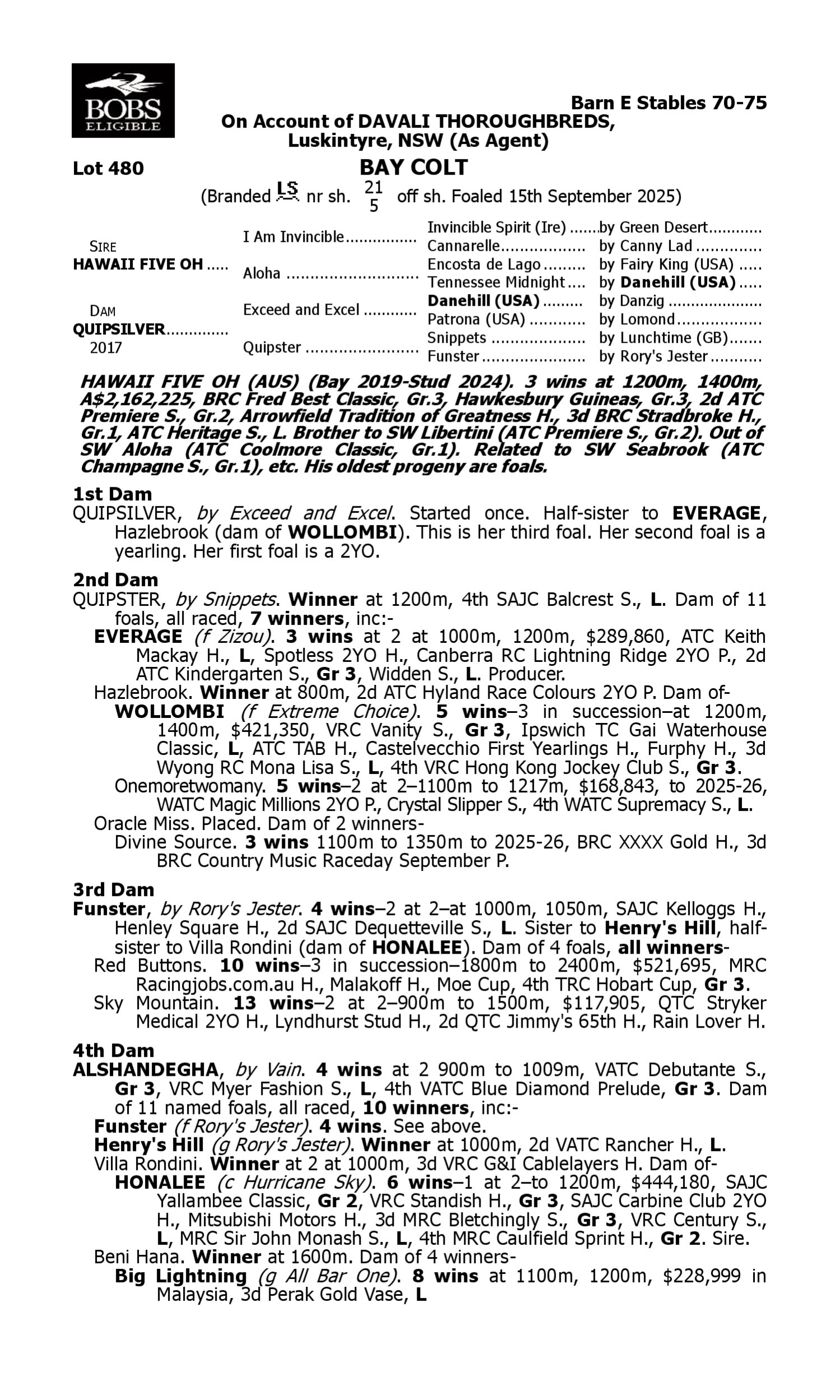 Pedigree for Lot 480 Hawaii Five Oh - Quipsilver