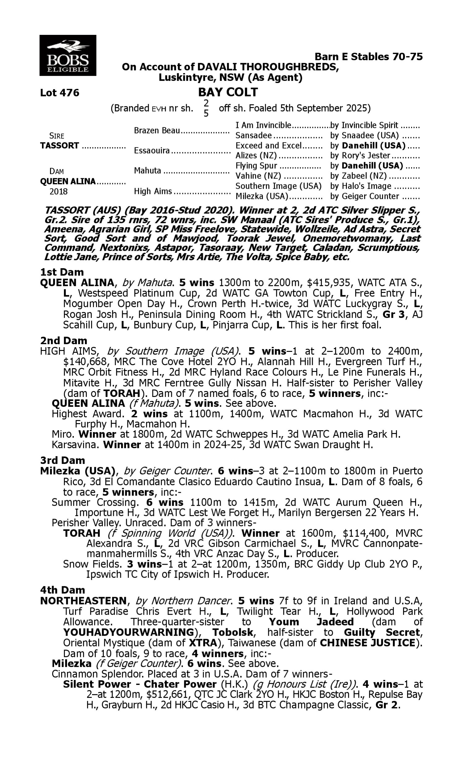 Pedigree for Lot 476 Tassort - Queen Alina