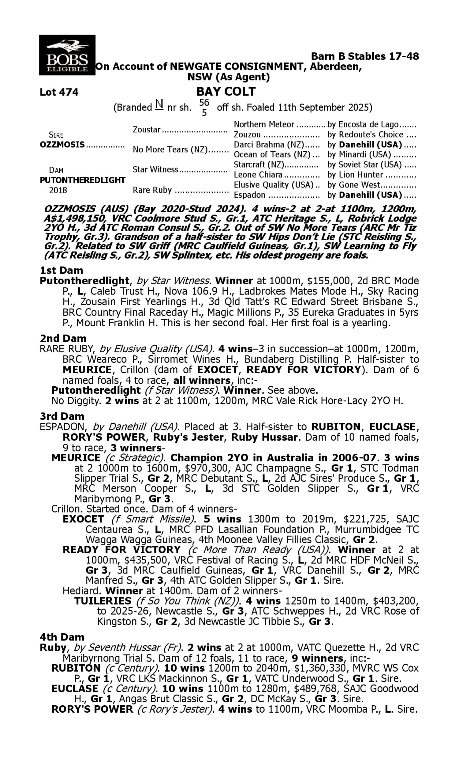 Pedigree for Lot 474 Ozzmosis - Putontheredlight