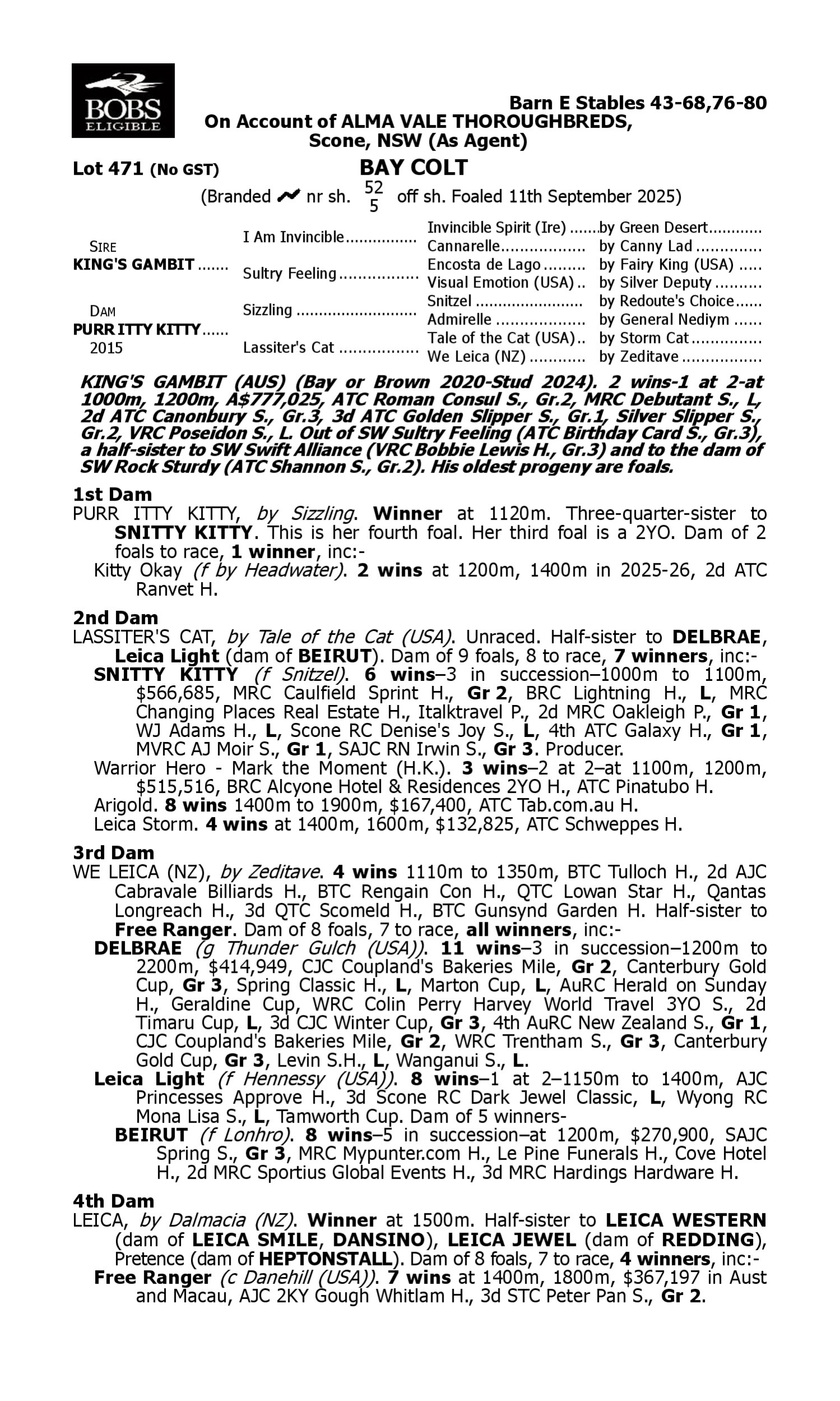 Pedigree for Lot 471 King's Gambit - Purr Itty Kitty