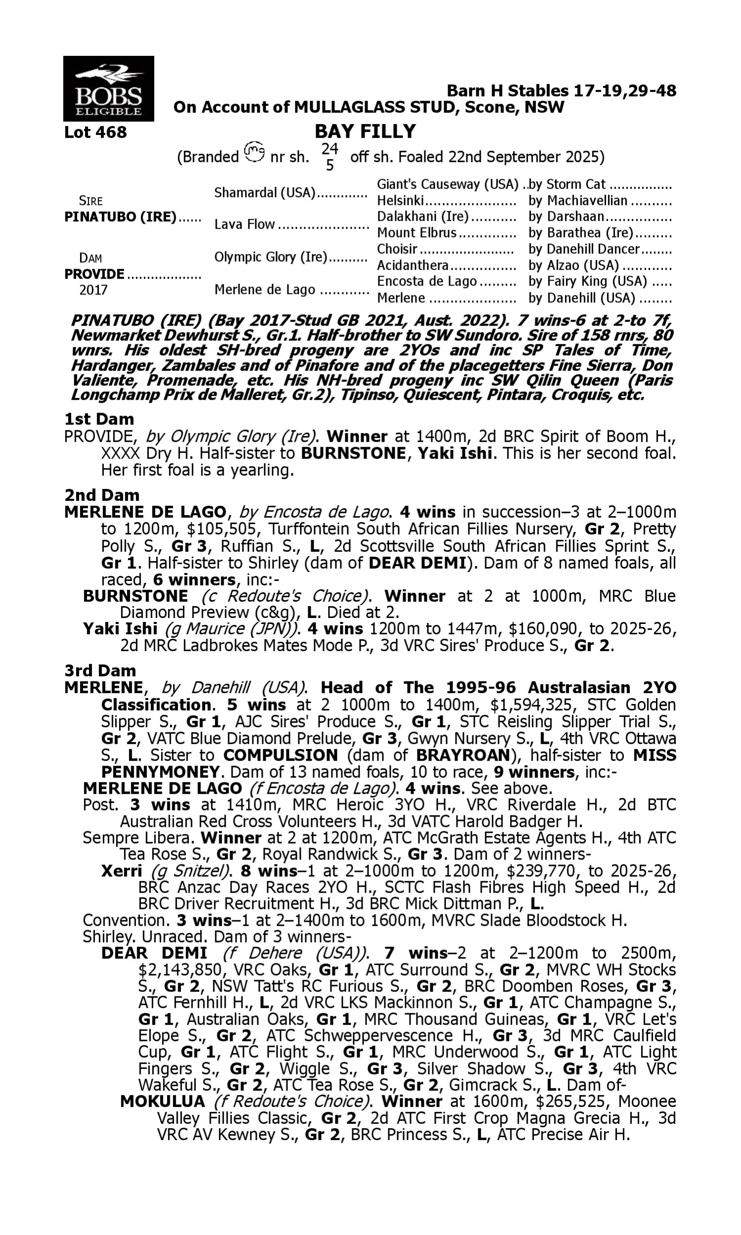 Pedigree for Lot 468 Pinatubo (IRE) - Provide