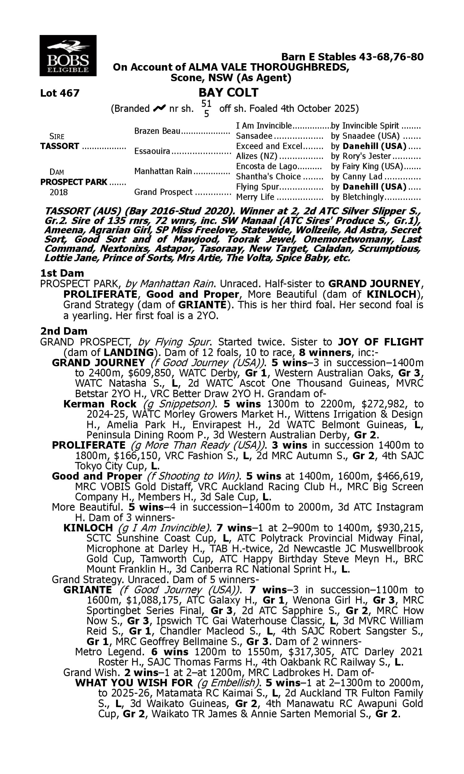 Pedigree for Lot 467 Tassort - Prospect Park