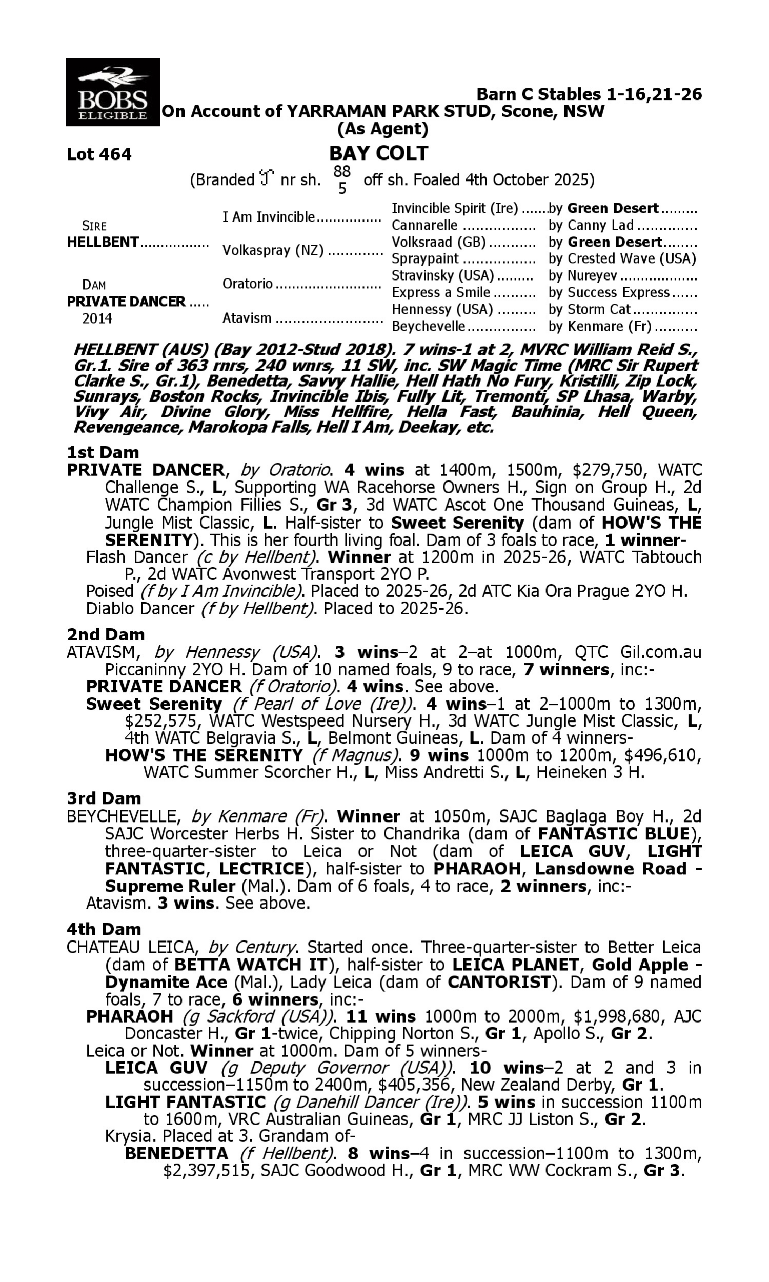 Pedigree for Lot 464 Hellbent - Private Dancer