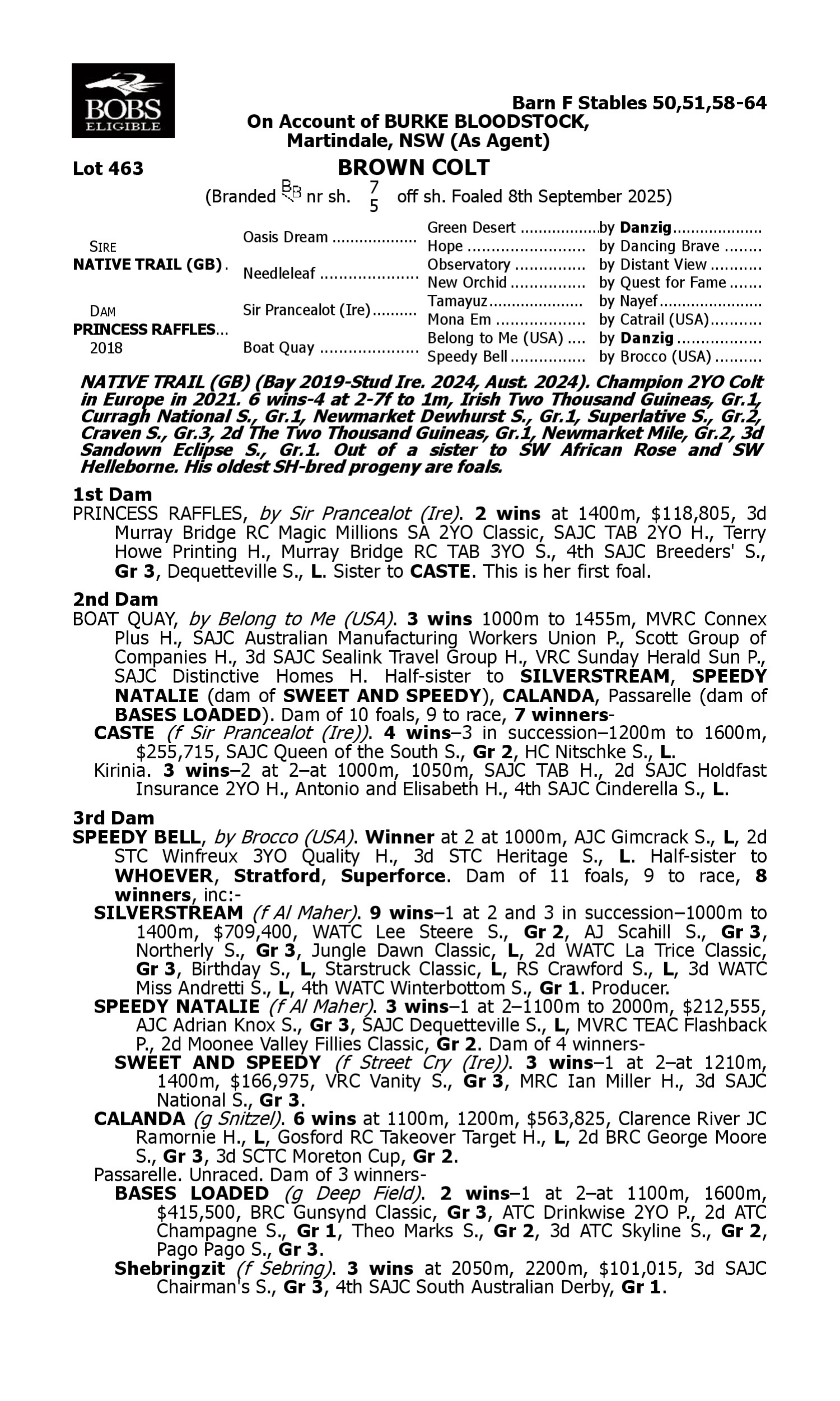 Pedigree for Lot 463 Native Trail (GB) - Princess Raffles