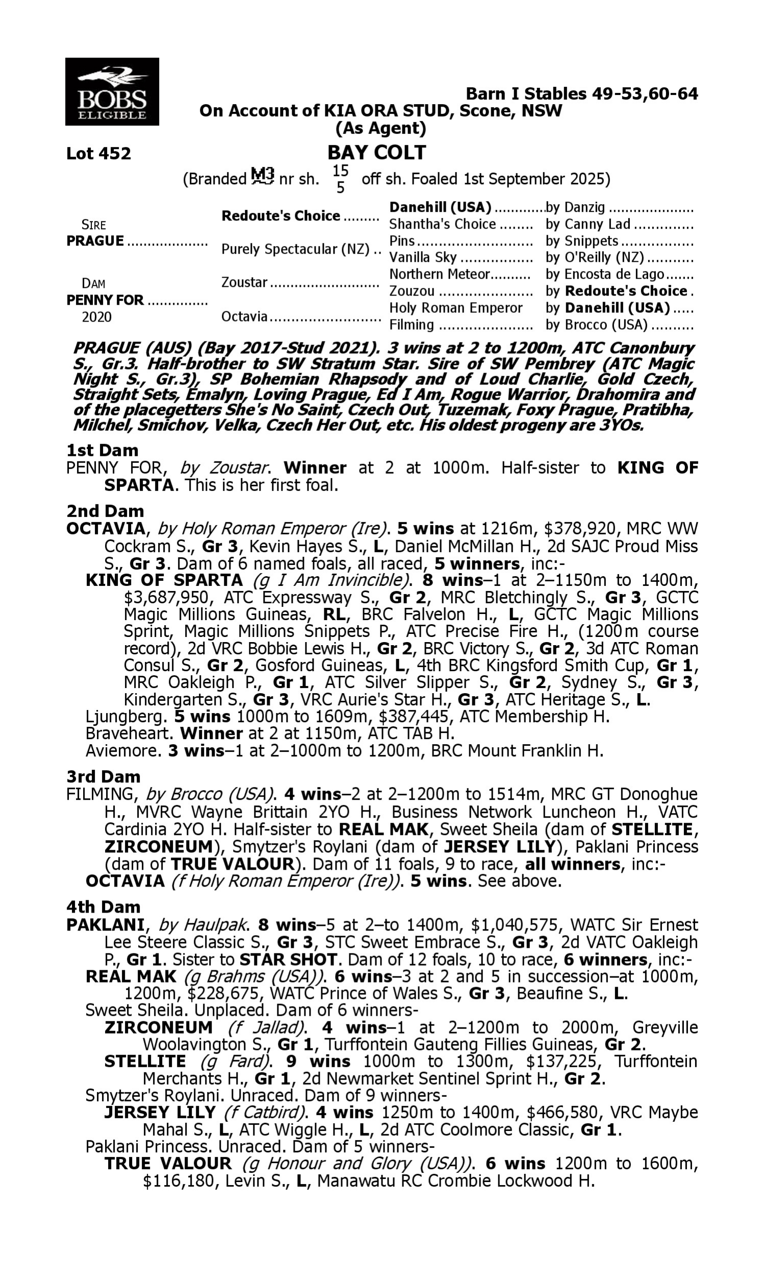 Pedigree for Lot 452 Prague - Penny For