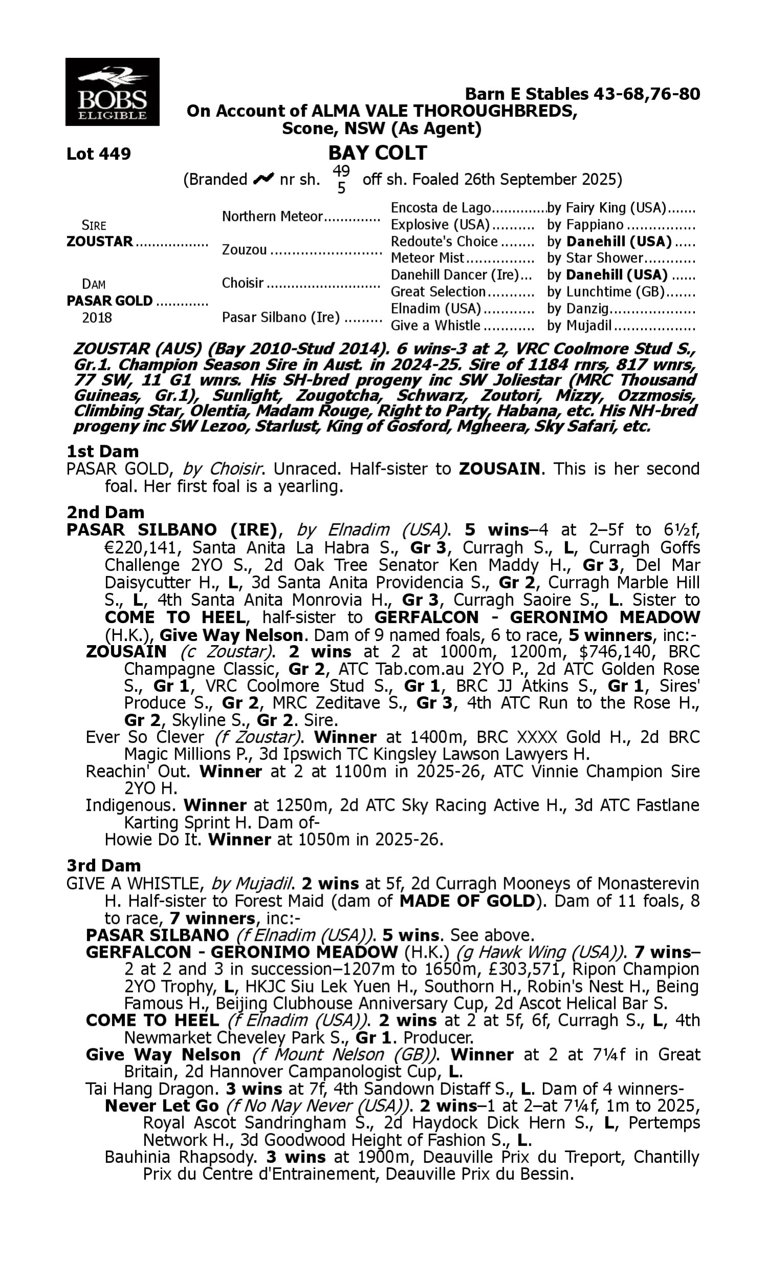 Pedigree for Lot 449 Zoustar - Pasar Gold