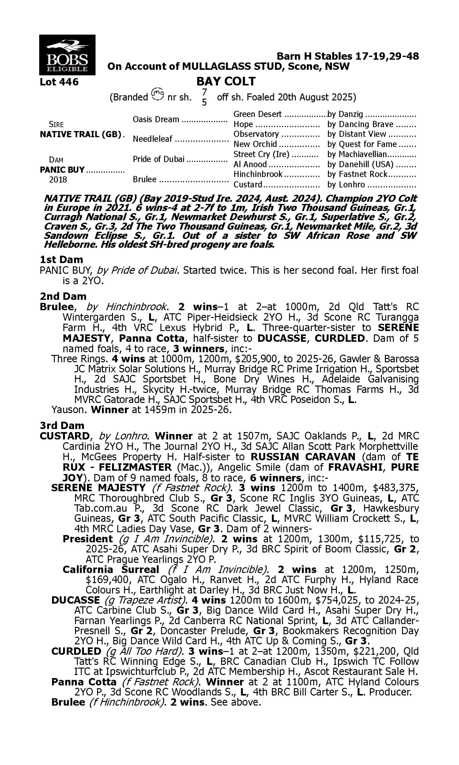 Pedigree for Lot 446 Native Trail (GB) - Panic Buy