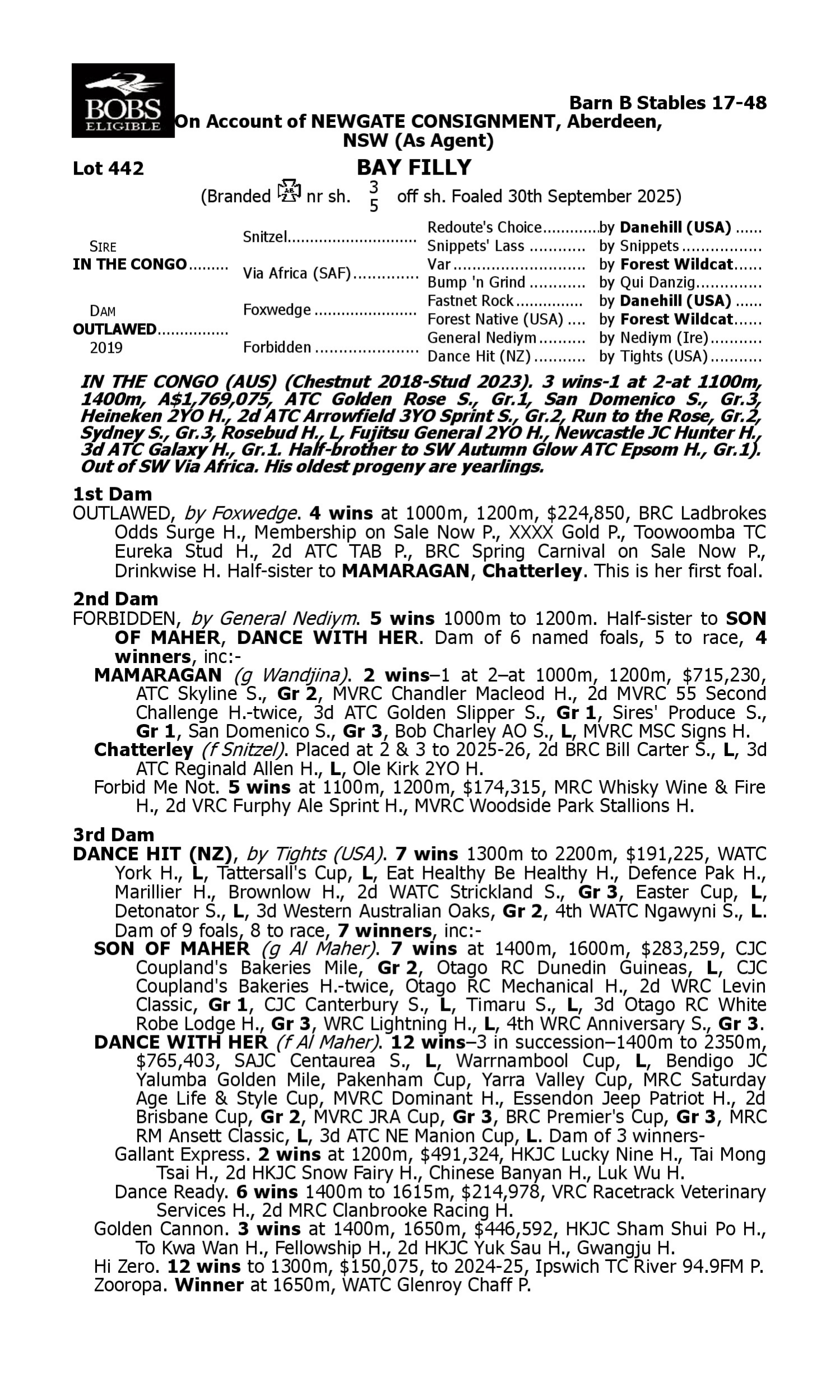 Pedigree for Lot 442 In the Congo - Outlawed