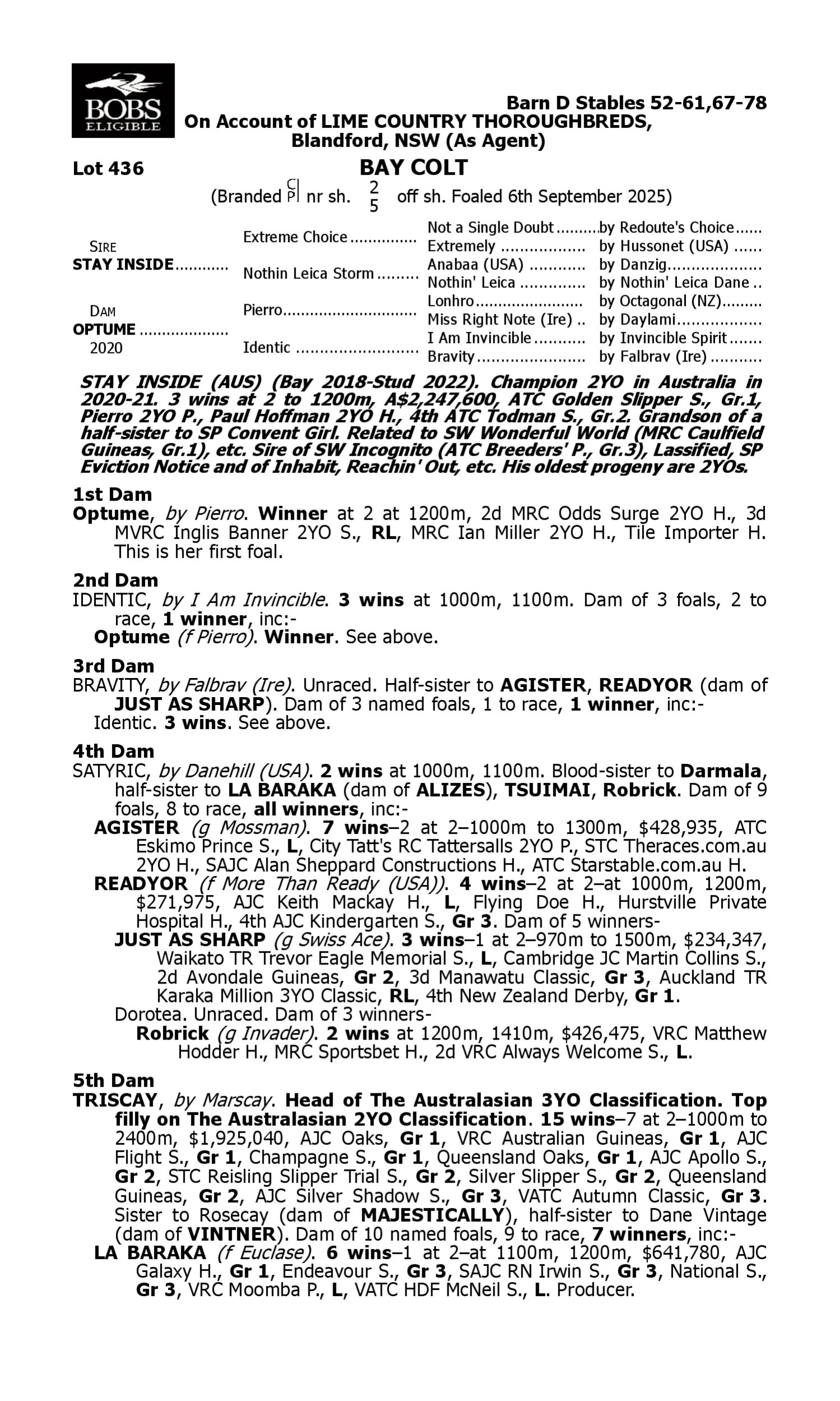 Pedigree for Lot 436 Stay Inside - Optume