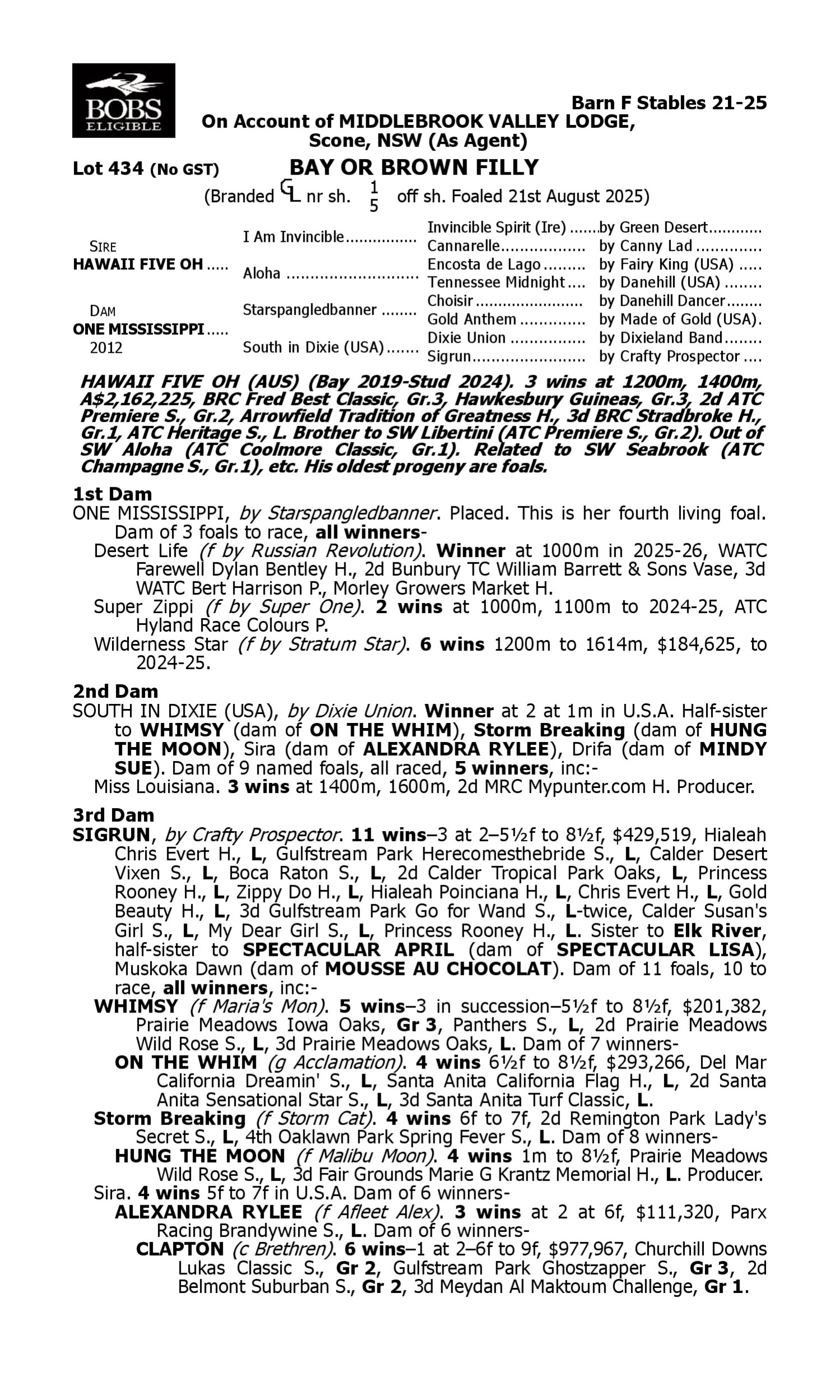 Pedigree for Lot 434 Hawaii Five Oh - One Mississippi