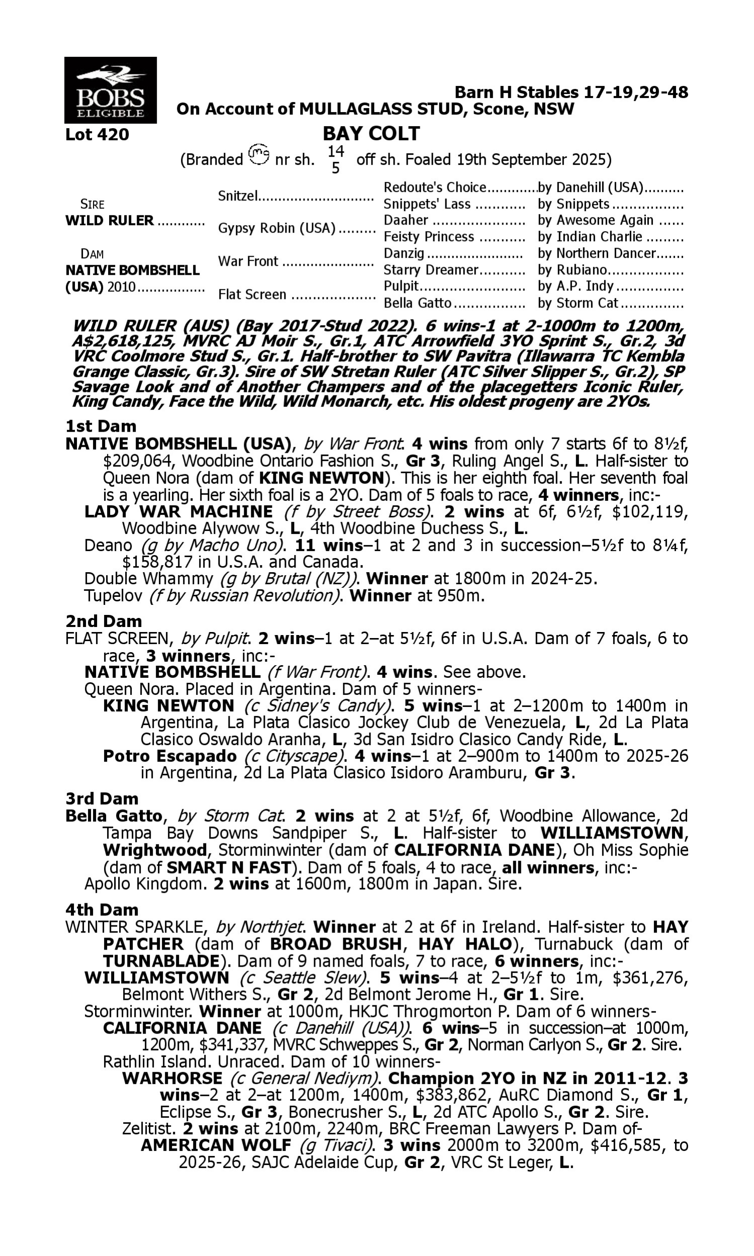 Pedigree for Lot 420 Wild Ruler - Native Bombshell (USA)