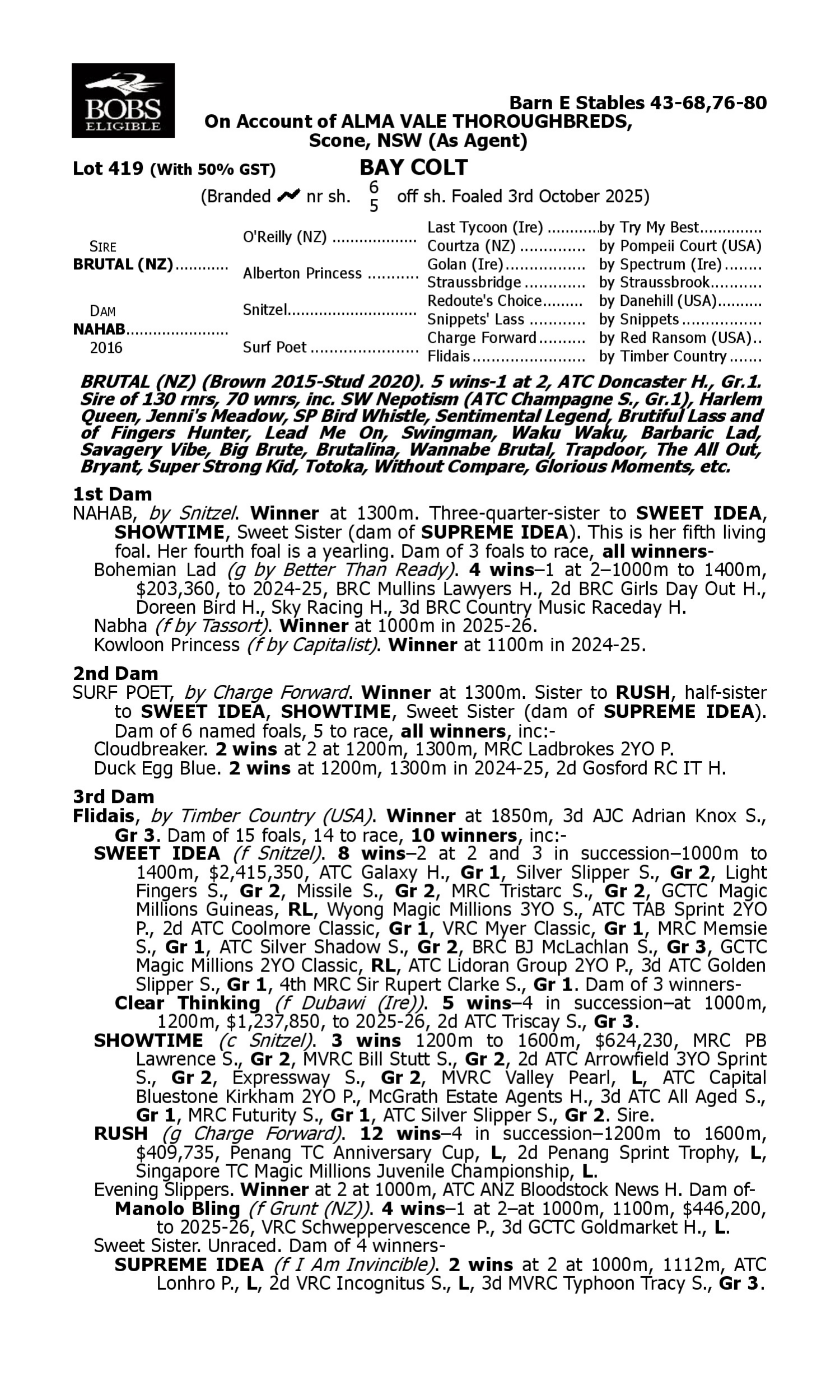 Pedigree for Lot 419 Brutal (NZ) - Nahab