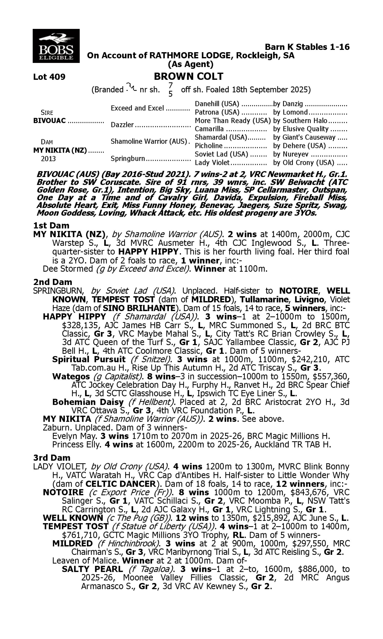 Pedigree for Lot 409 Bivouac - My Nikita (NZ)