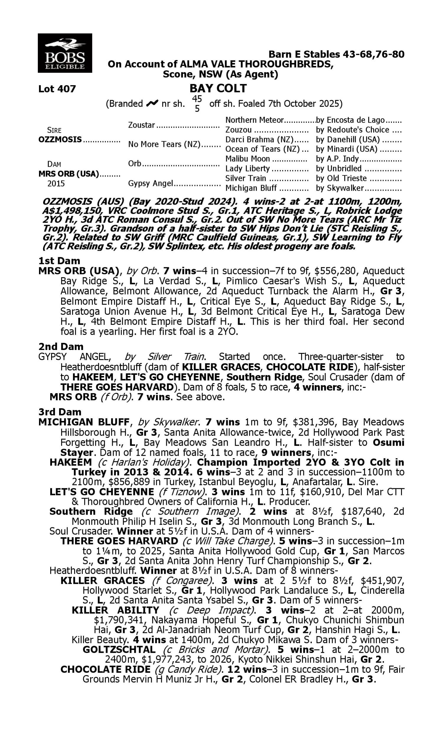 Pedigree for Lot 407 Ozzmosis - Mrs Orb (USA)