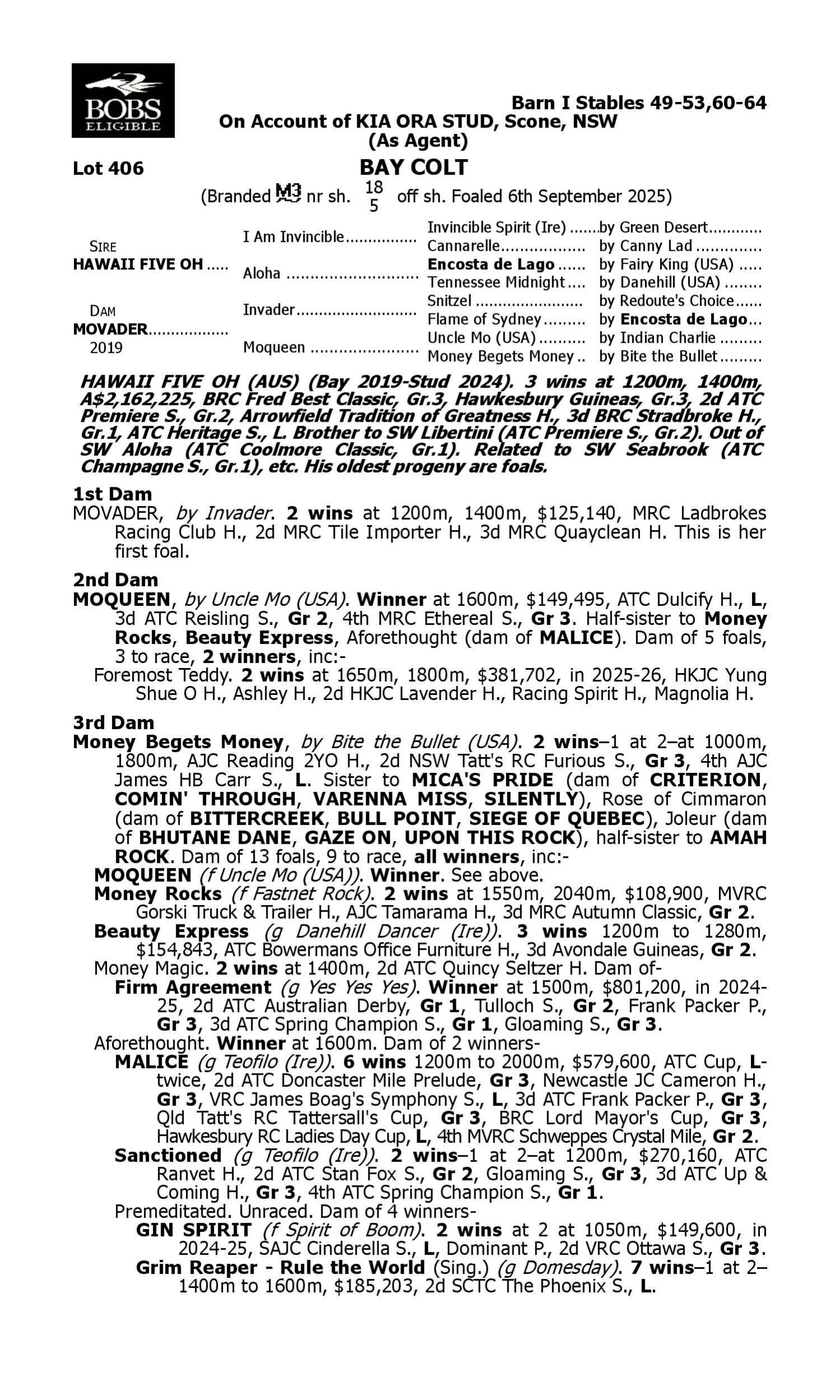 Pedigree for Lot 406 Hawaii Five Oh - Movader