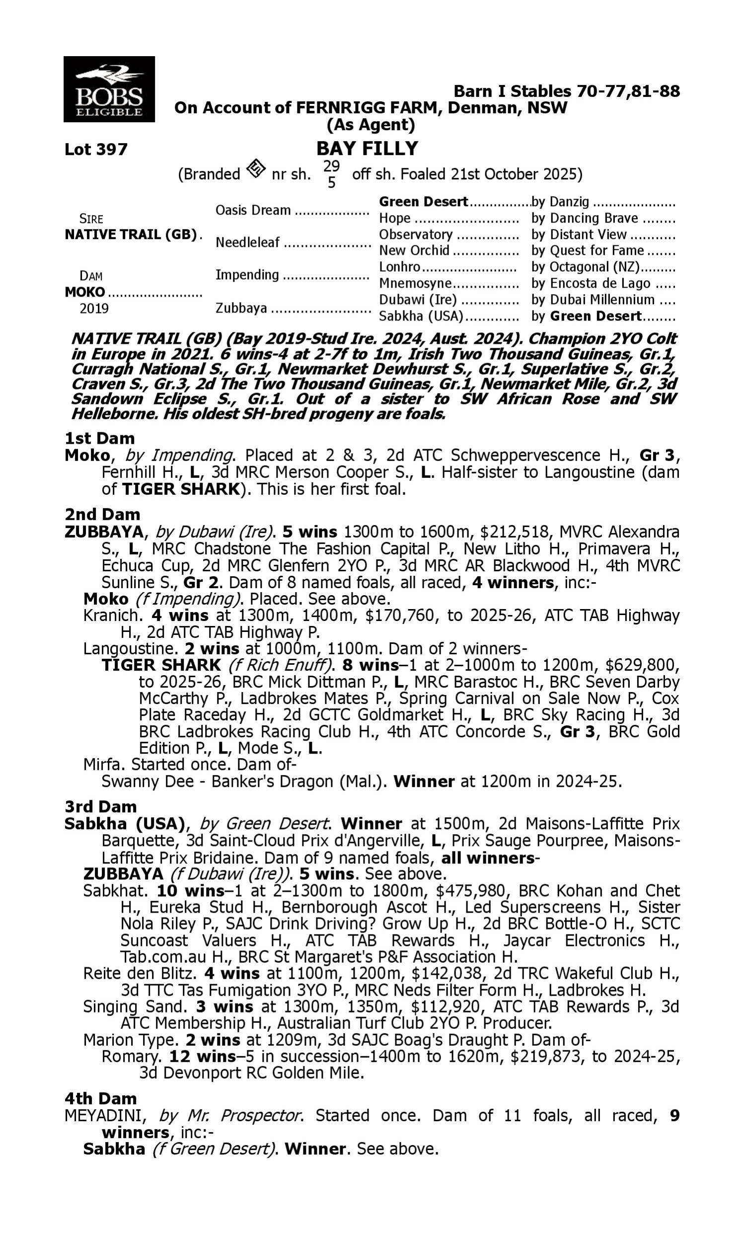 Pedigree for Lot 397 Native Trail (GB) - Moko