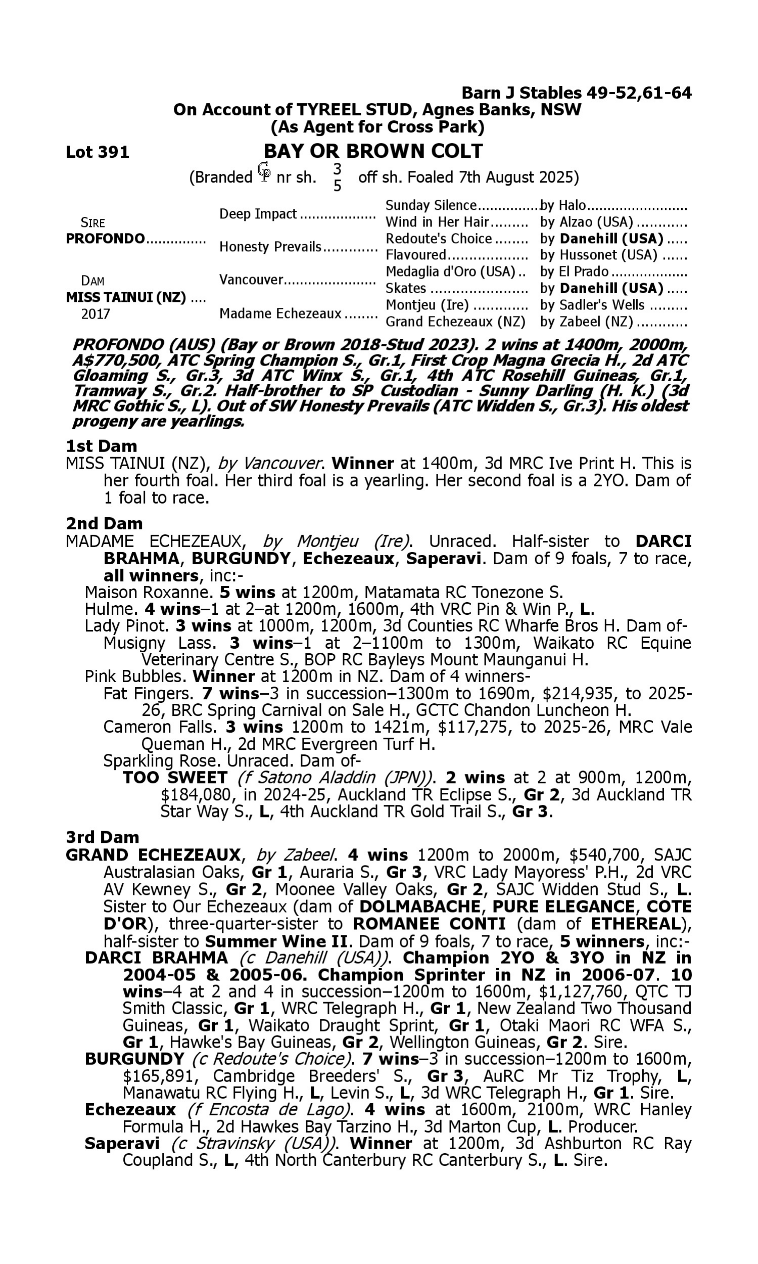 Pedigree for Lot 391 Profondo - Miss Tainui (NZ)